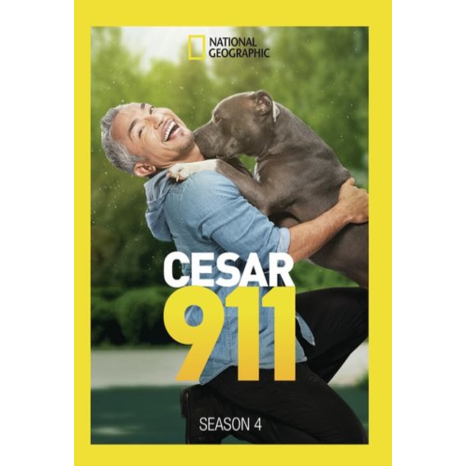 Cesar 911: Season 4 - - [DVD]