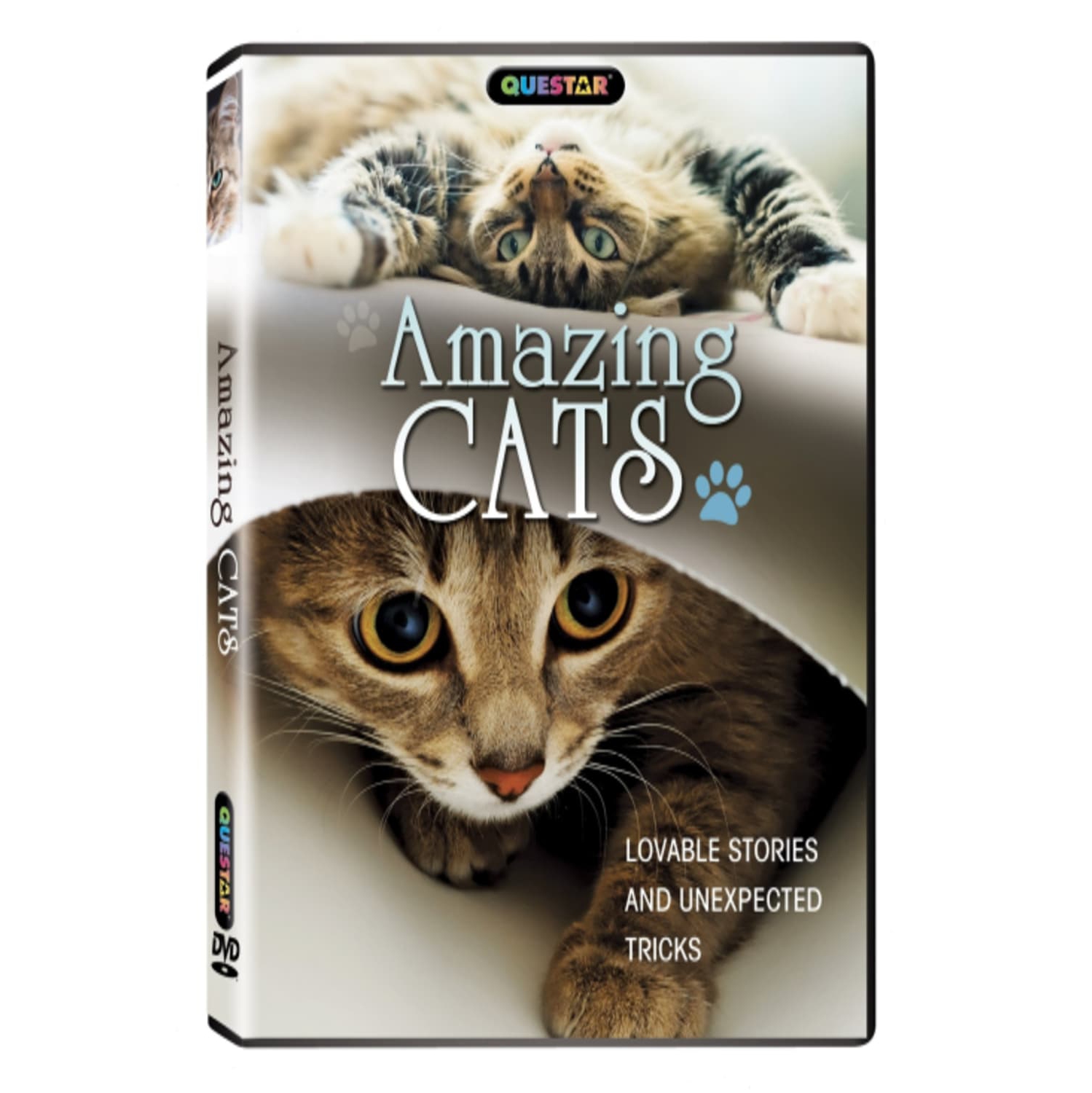 Amazing Cats - [DVD]