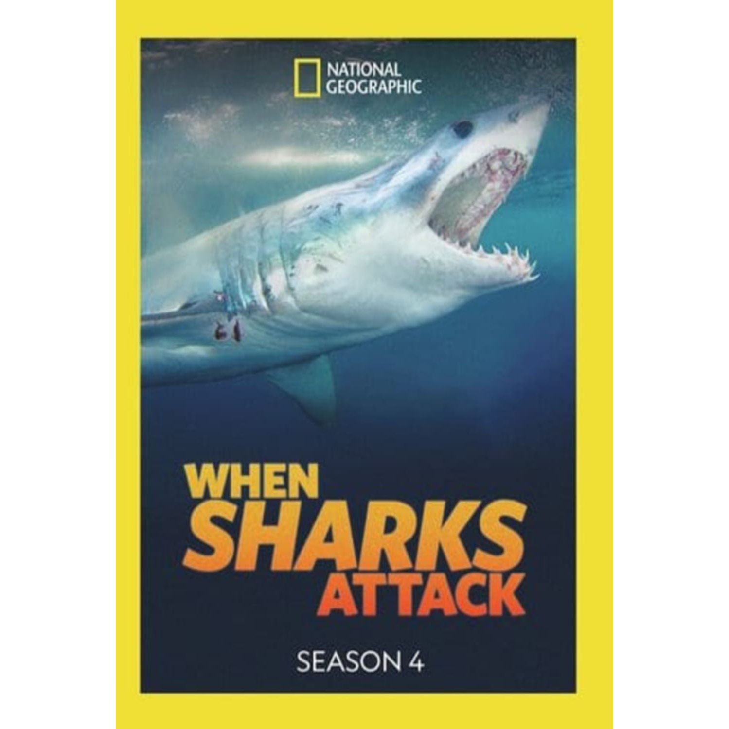 When Sharks Attack: Season 4 - - [DVD]