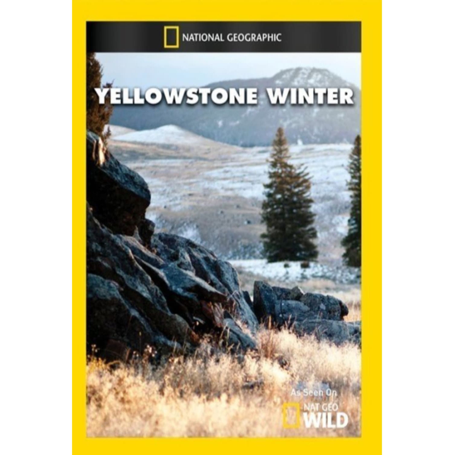 Yellowstone Winter - - [DVD]