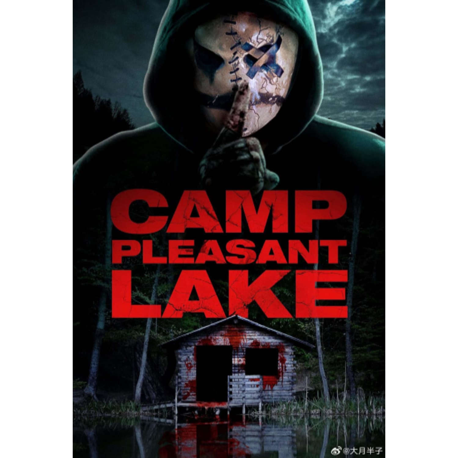 Camp Pleasant Lake - - [DVD]