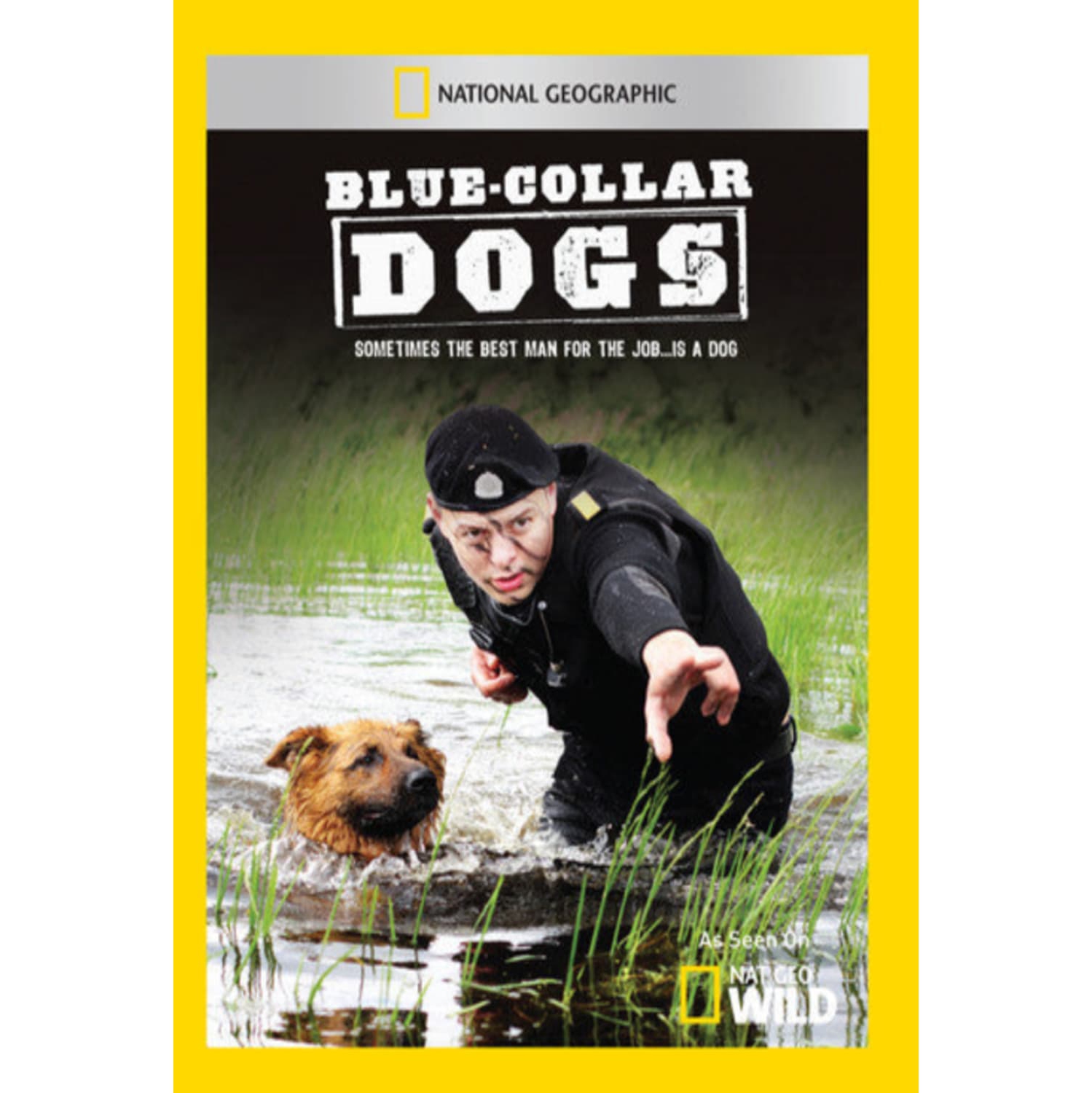 Blue Collar Dogs - [DVD]