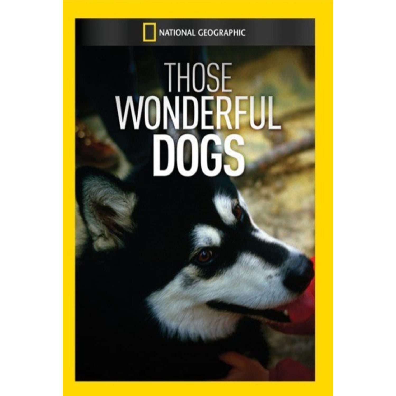 Those Wonderful Dogs - - [DVD]