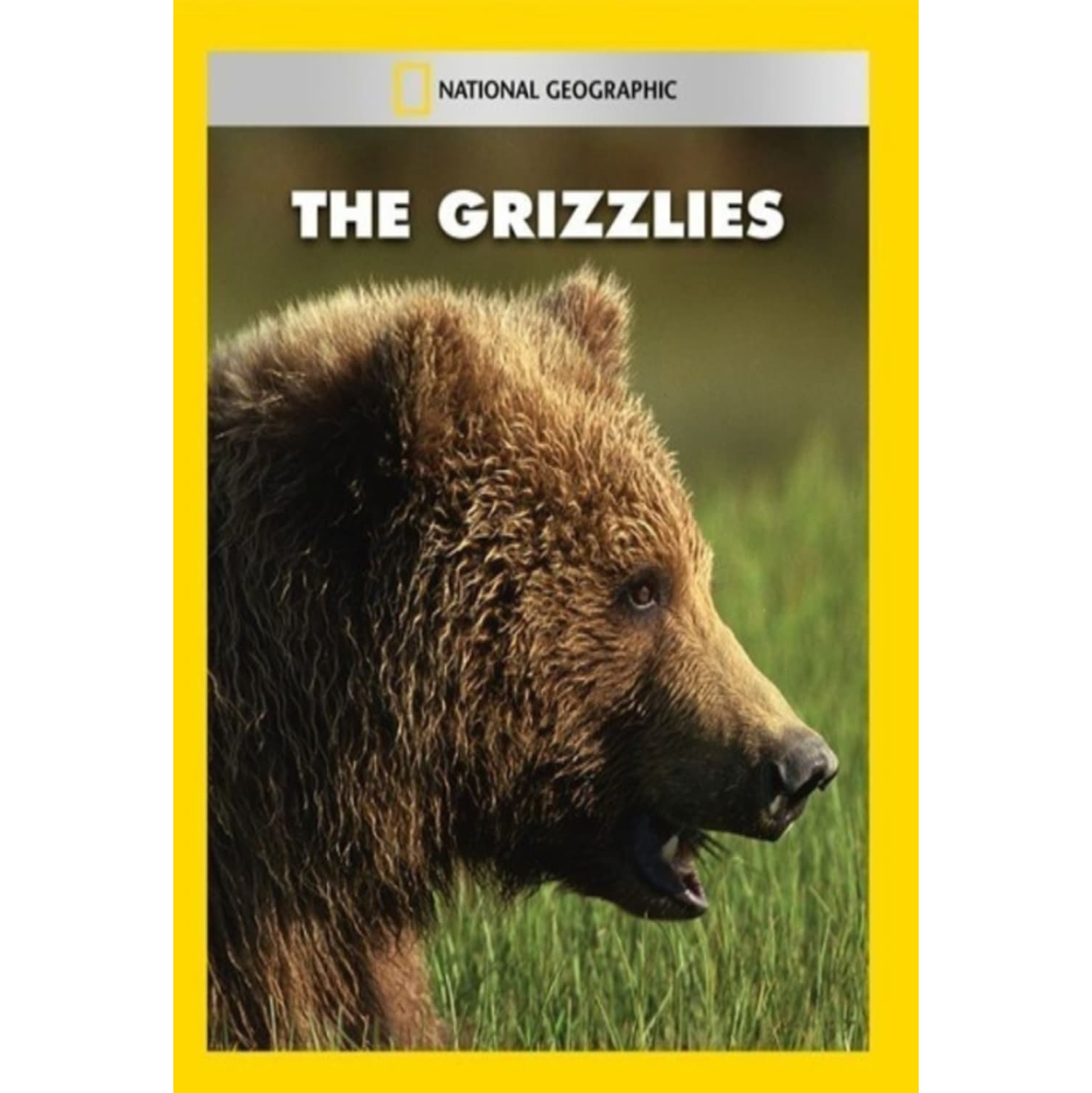 Grizzlies - - [DVD]