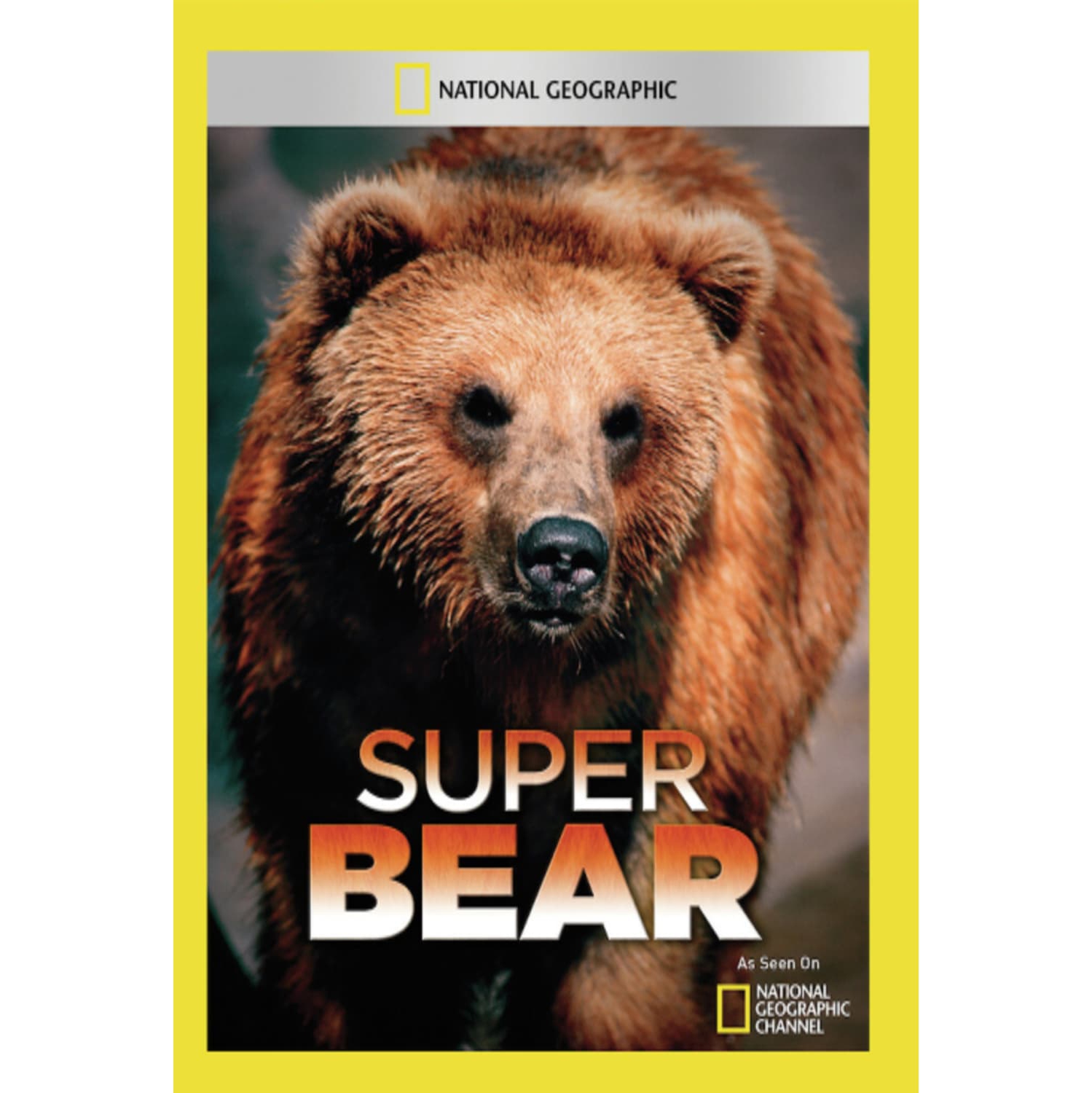 Super Bear - - [DVD]