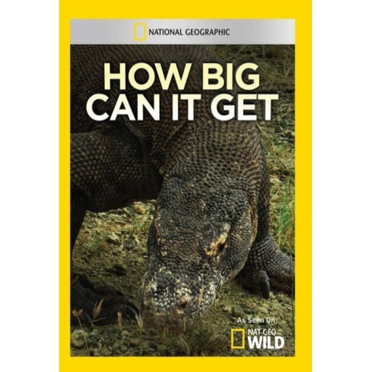 How Big Can It Get - - [DVD]
