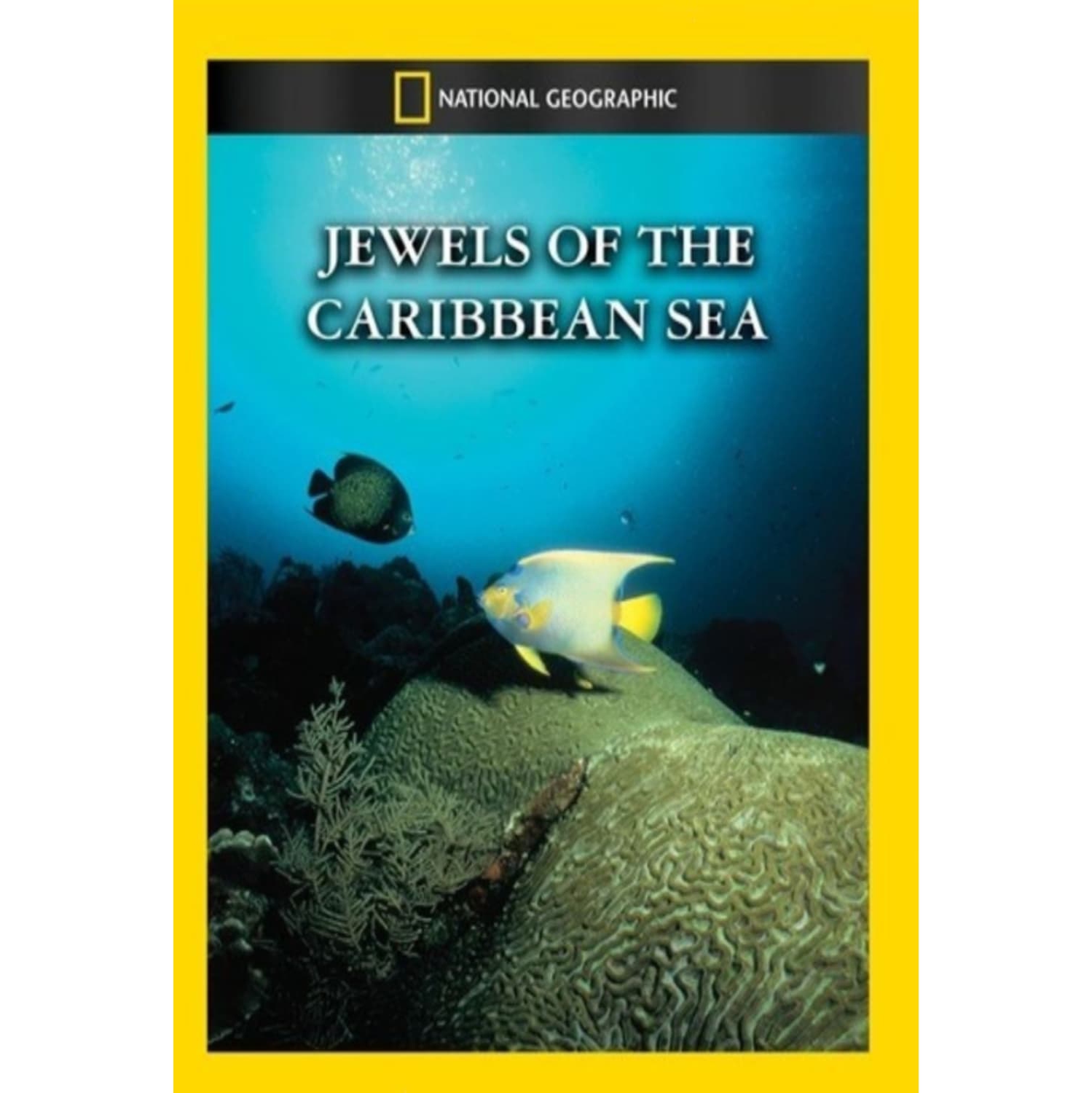 Jewels of the Caribbean Sea - - [DVD]