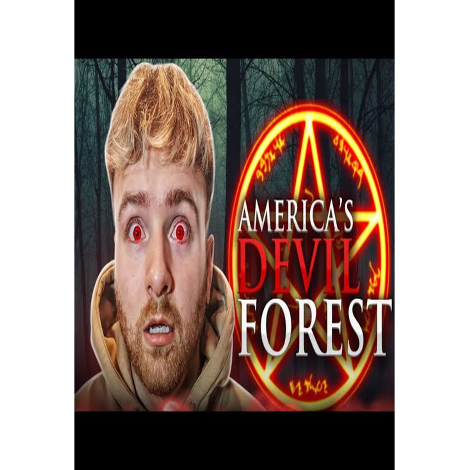 The Bridgewater Triangle - - [DVD]