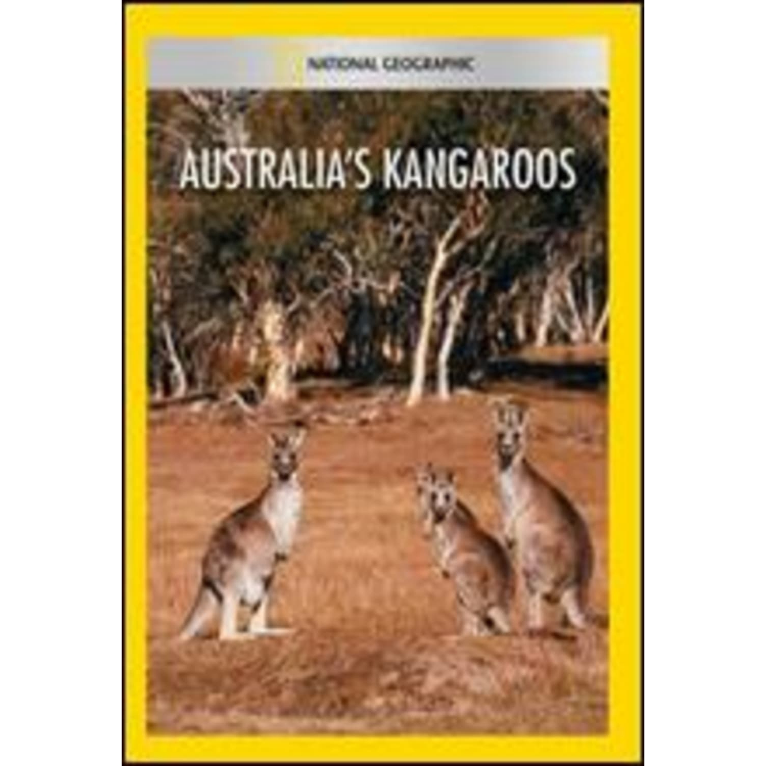 Australias Kangaroos - - [DVD]