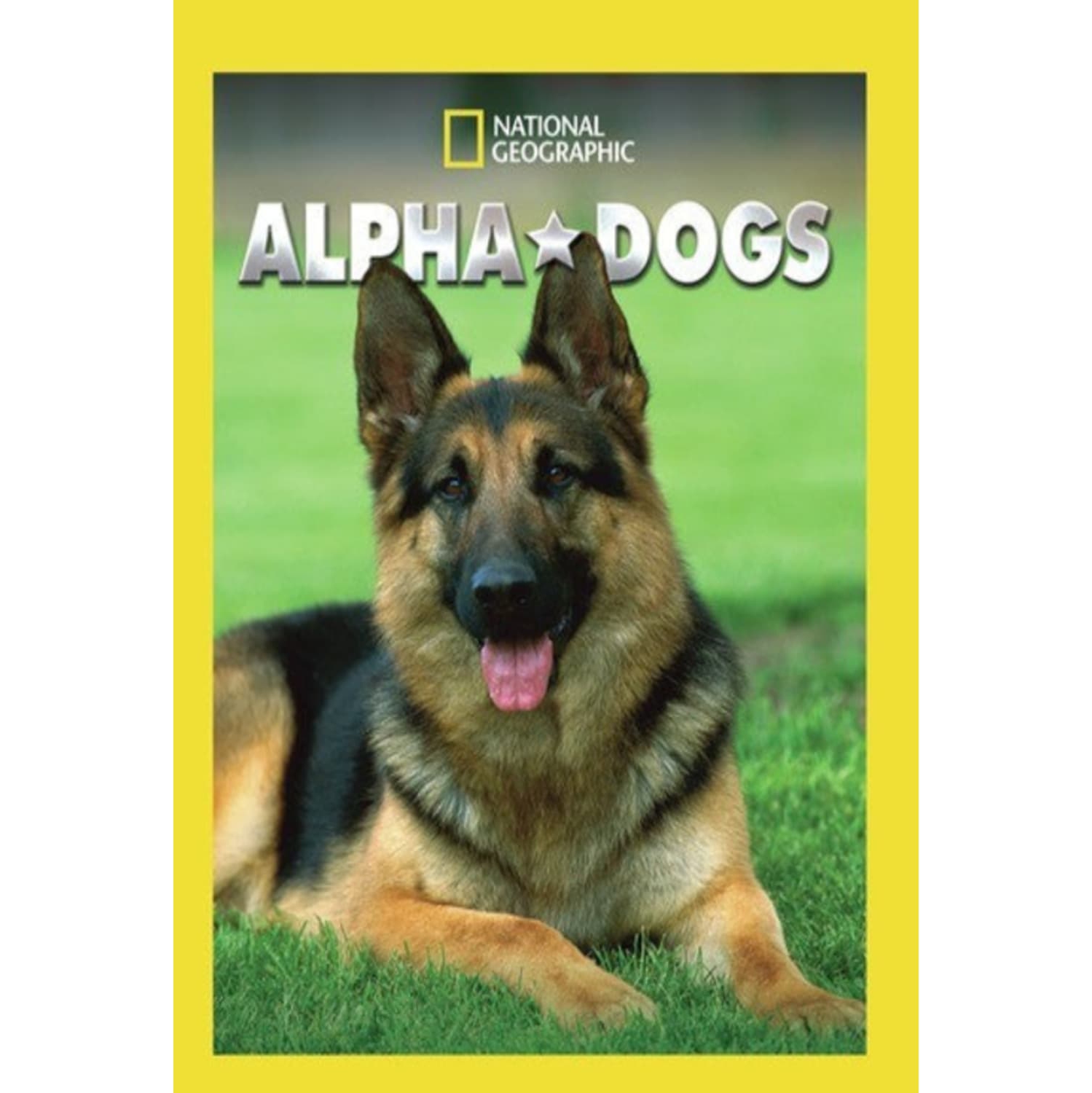 Alpha Dogs - - [DVD]