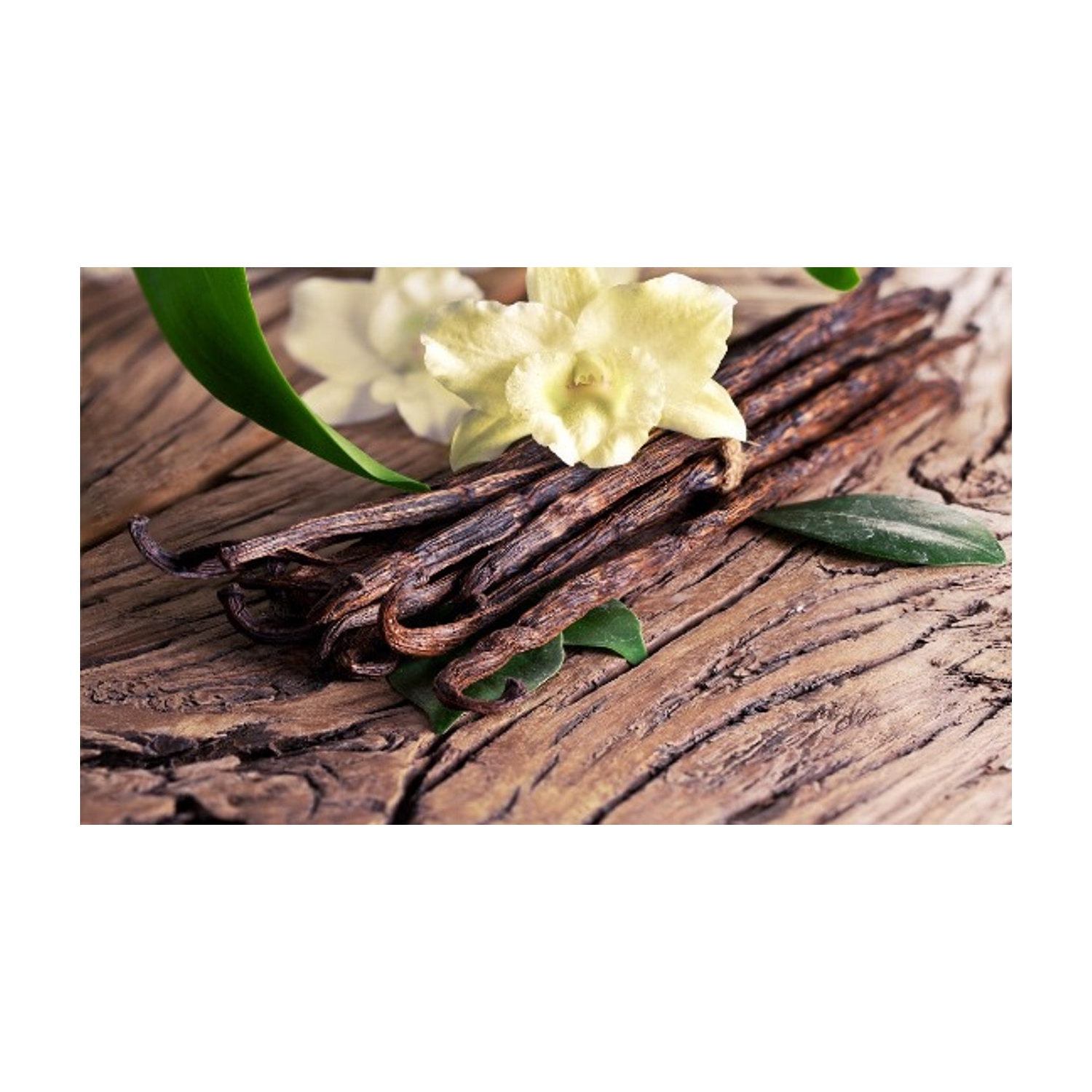 Huile d'arôme VIP d'Oud Wood - Collection d'hôtels Bulgari