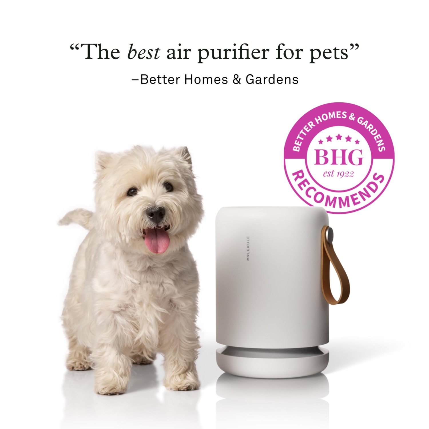 Molekule Air Mini+, Air Purifier for Small Home Rooms up to 250 sq. ft. with PECO-HEPA Tri-Power Filter