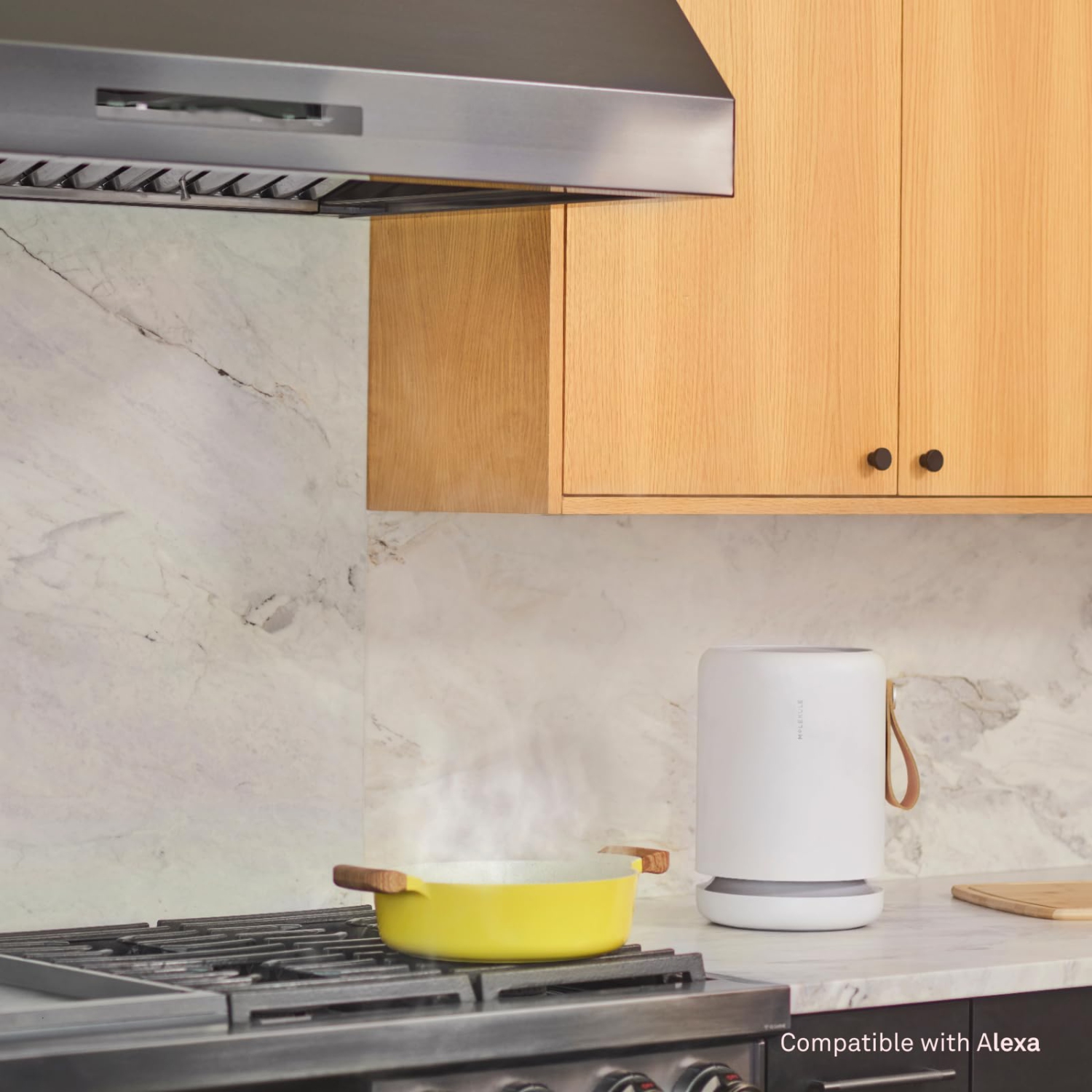 Molekule Air Mini+, Air Purifier for Small Home Rooms up to 250 sq. ft. with PECO-HEPA Tri-Power Filter