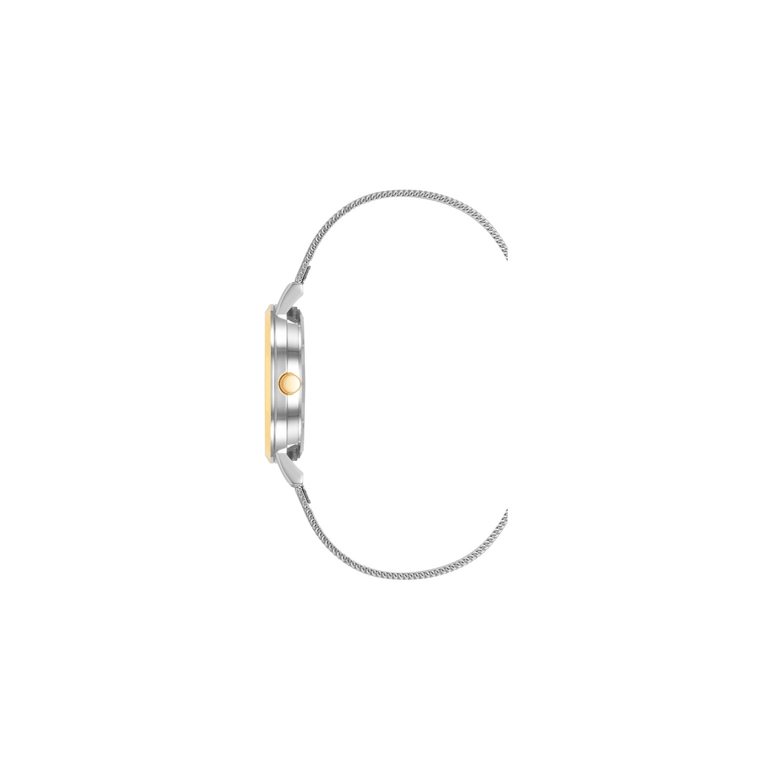 Anne Klein Ladies 32mm Two-Tone Gold & Silver Round Watch with Silver Dial and Stainless Steel Mesh Bracelet