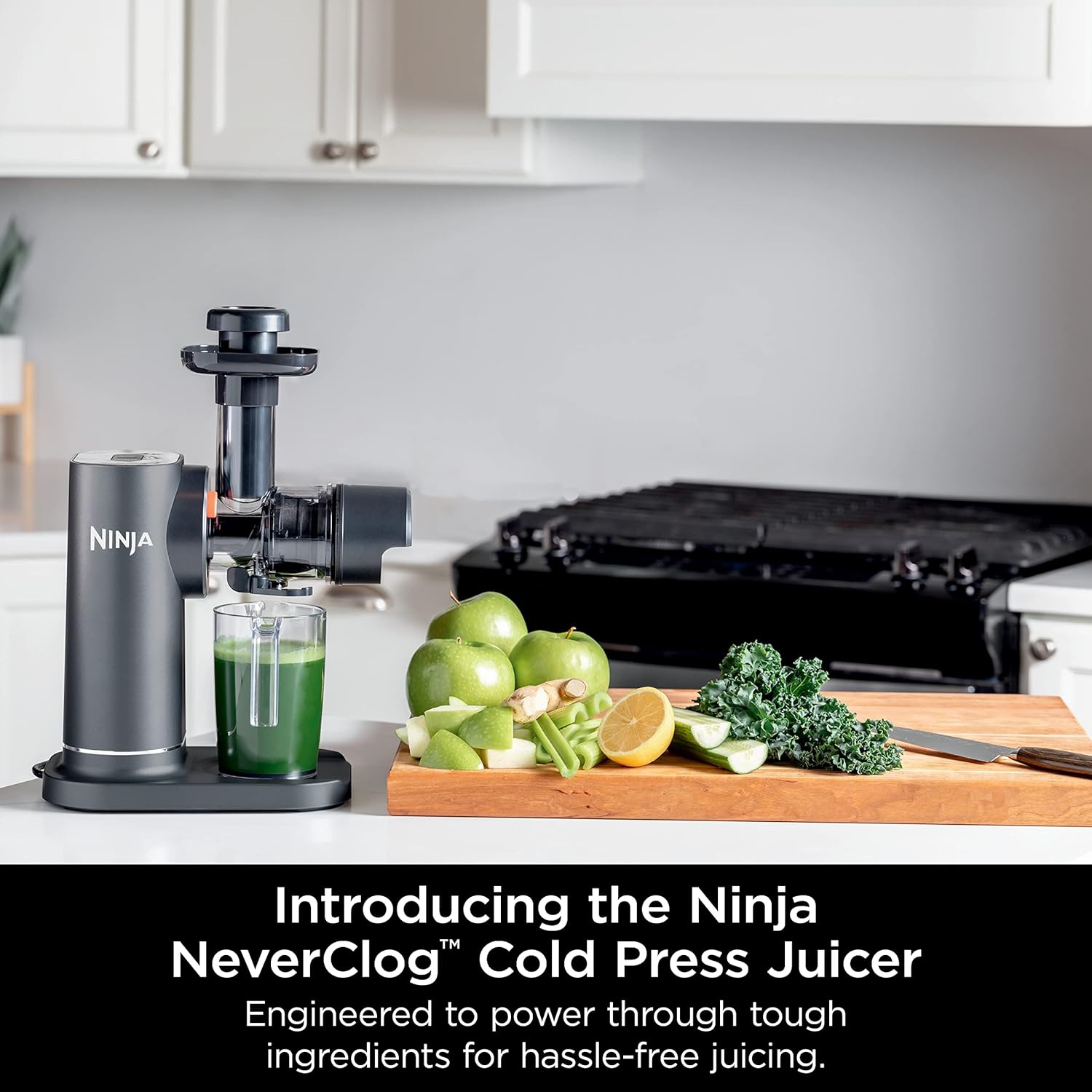 Compact cold press juicer with powerful performance and Total Pulp Control. Features a large pulp container and juice jug for easy use and cleaning.