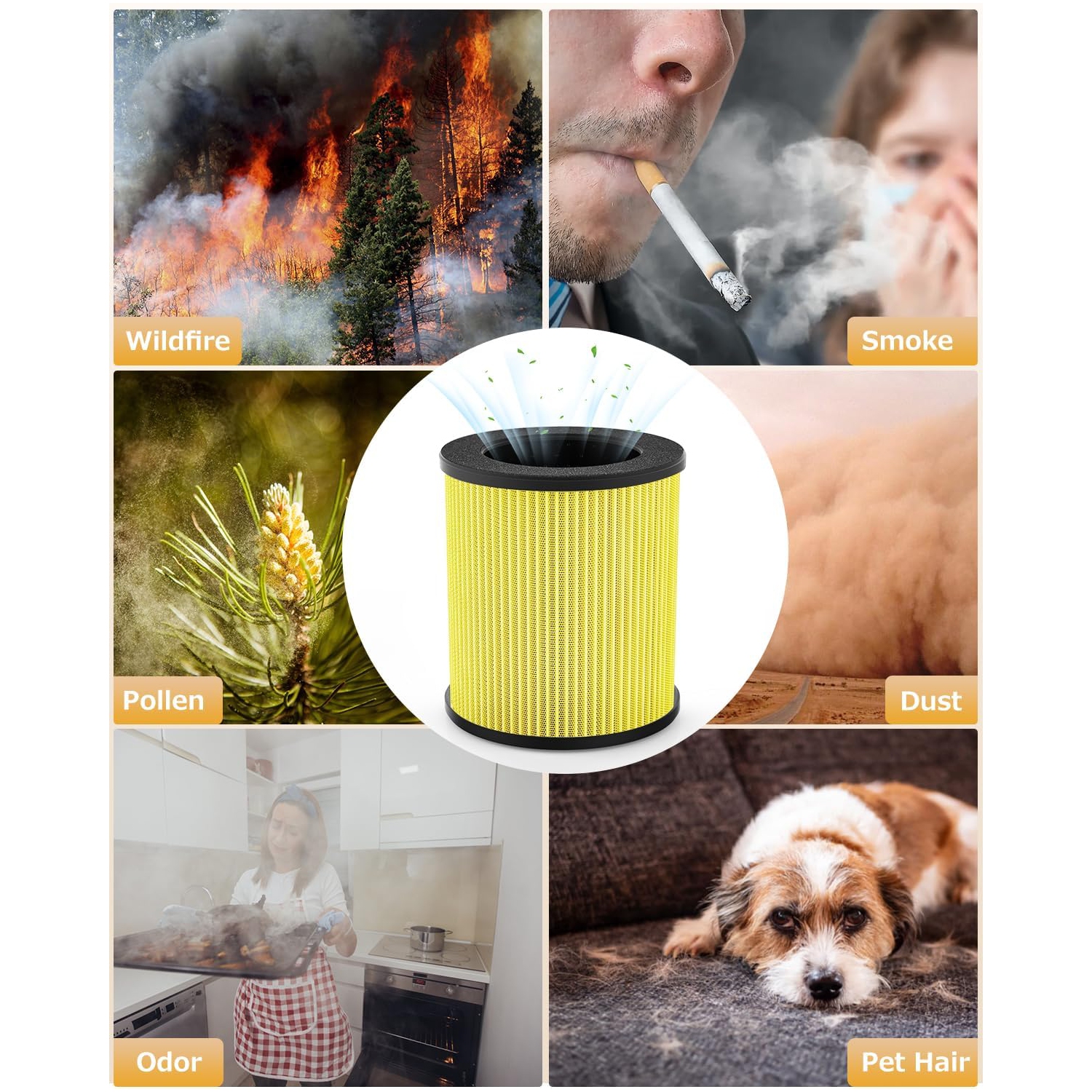 VEWIOR Air Filter for Pet Dander, Pet Odor, Pet Fur, Pet Hair, B-D02U Replacement Filter, H13 True HEPA Air Cleaner Filter, Pet Filter 1 Pack