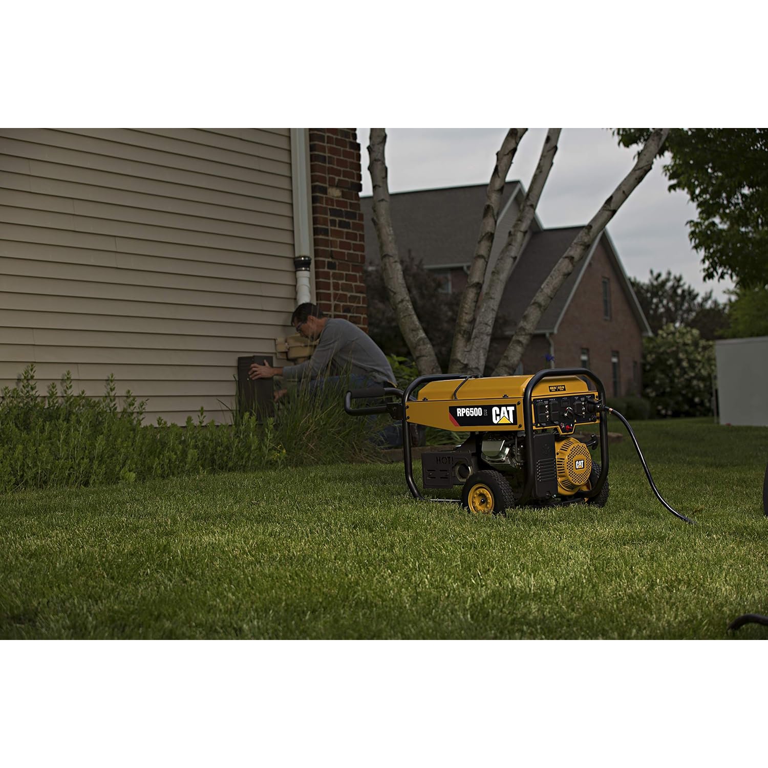 Cat RP6500E 6500 Running Watts/8125 Starting Watts with Electric Start Gas Powered Portable Generator 502-3688