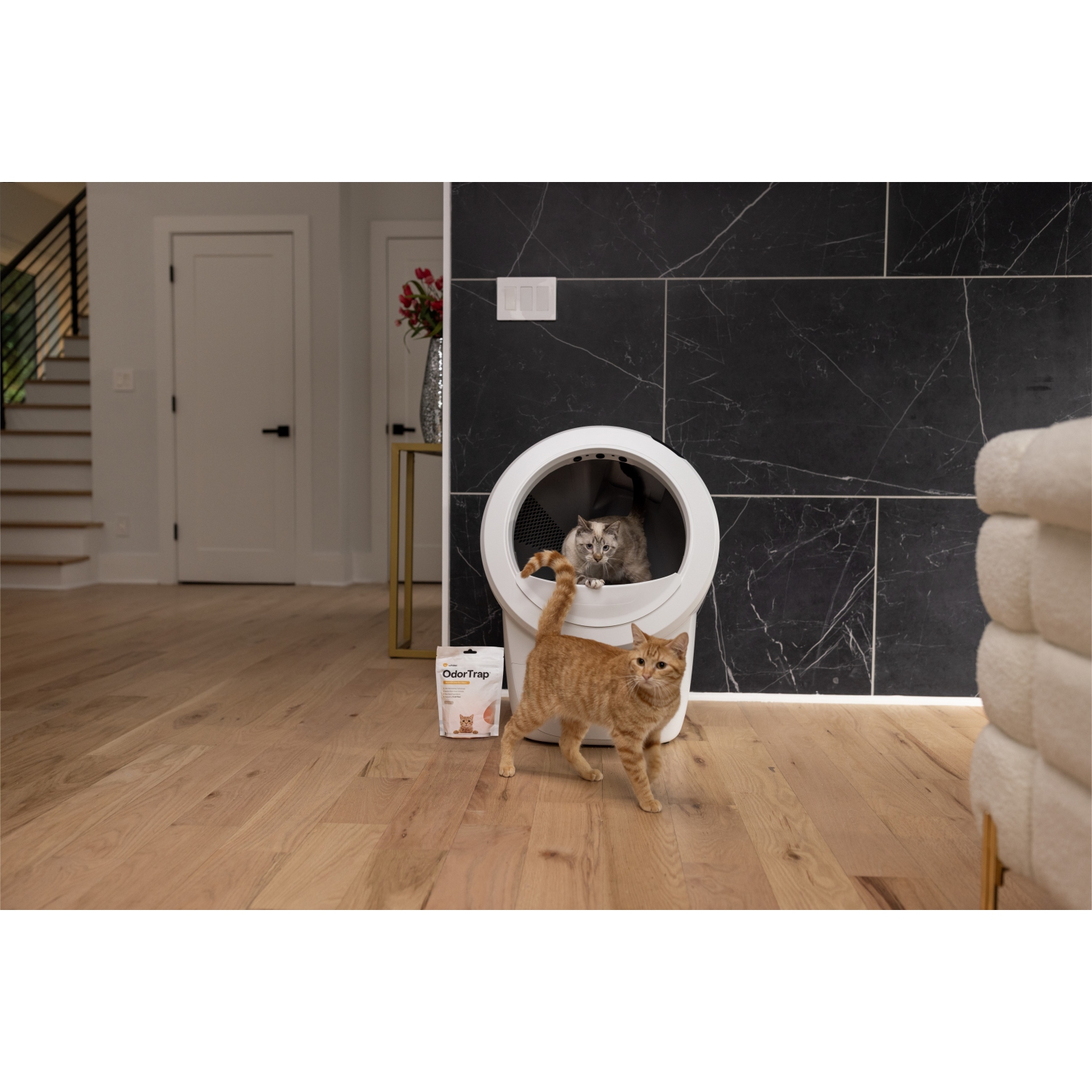 Ensemble pour débutants Litter-Robot 4 de Whisker, blanc - Boîte à litière automatique autonettoyante, comprend 1 an d'abonnement à WhiskerCare