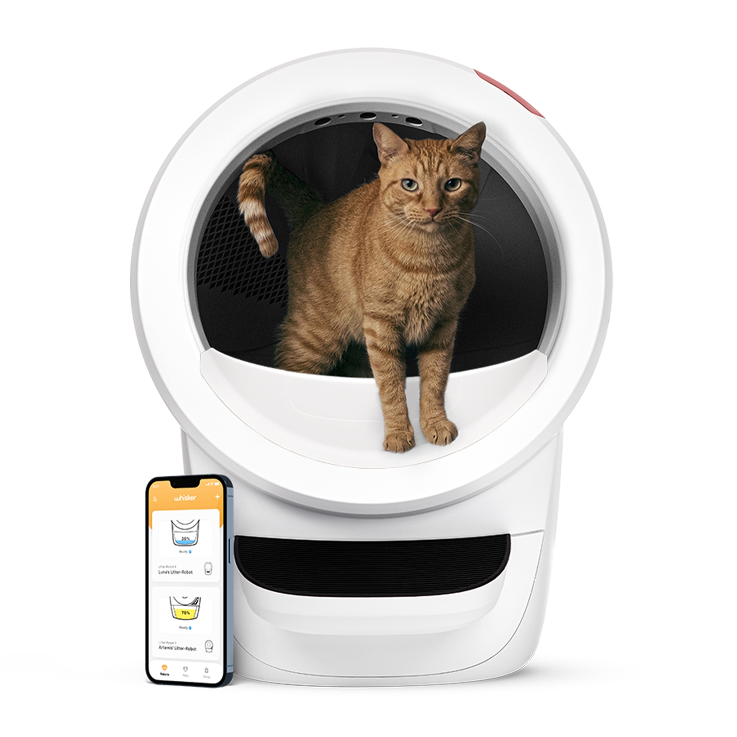 Litière Robot 4 Complete Bundle de Whisker, blanc - Boîte à litière autonettoyante automatique pour chats, comprend 1 an d'abonnement à WhiskerCare