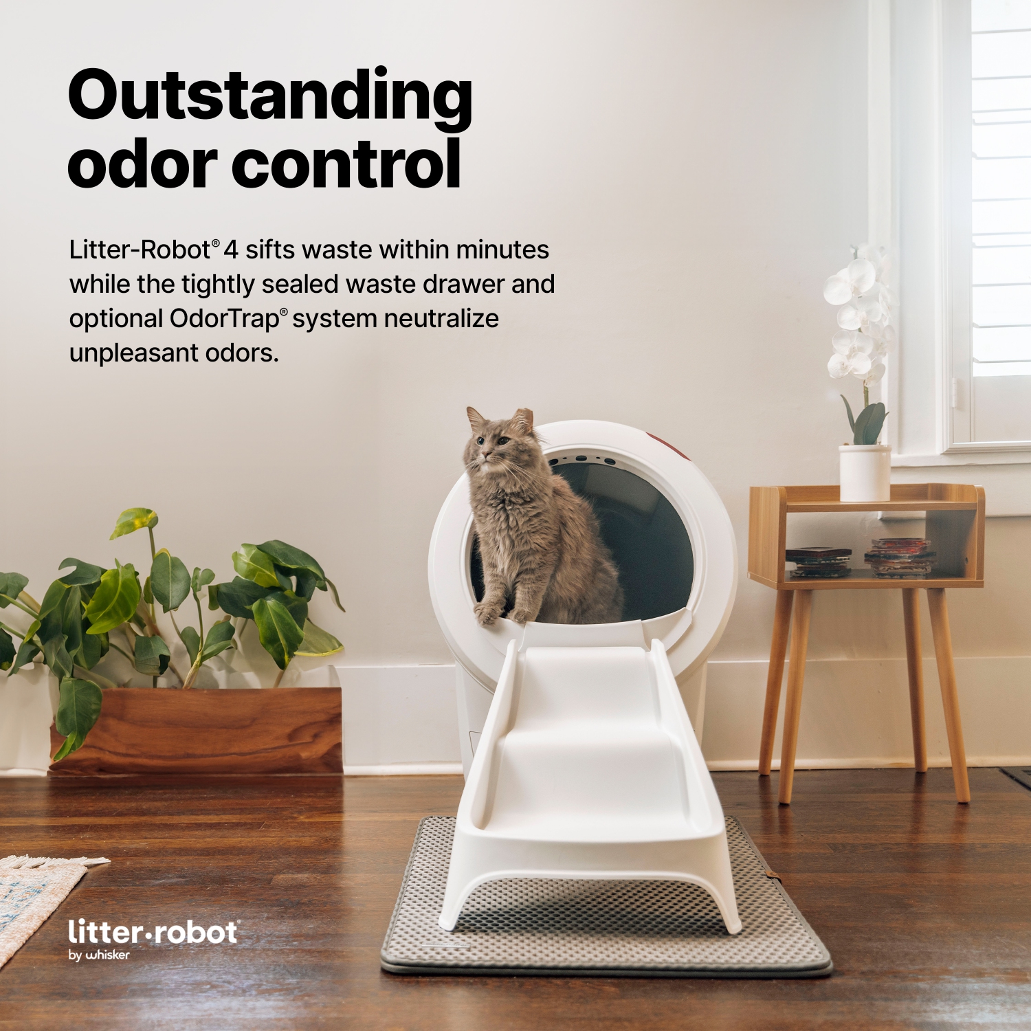 Litière Robot 4 Complete Bundle de Whisker, blanc - Boîte à litière autonettoyante automatique pour chats, comprend 1 an d'abonnement à WhiskerCare