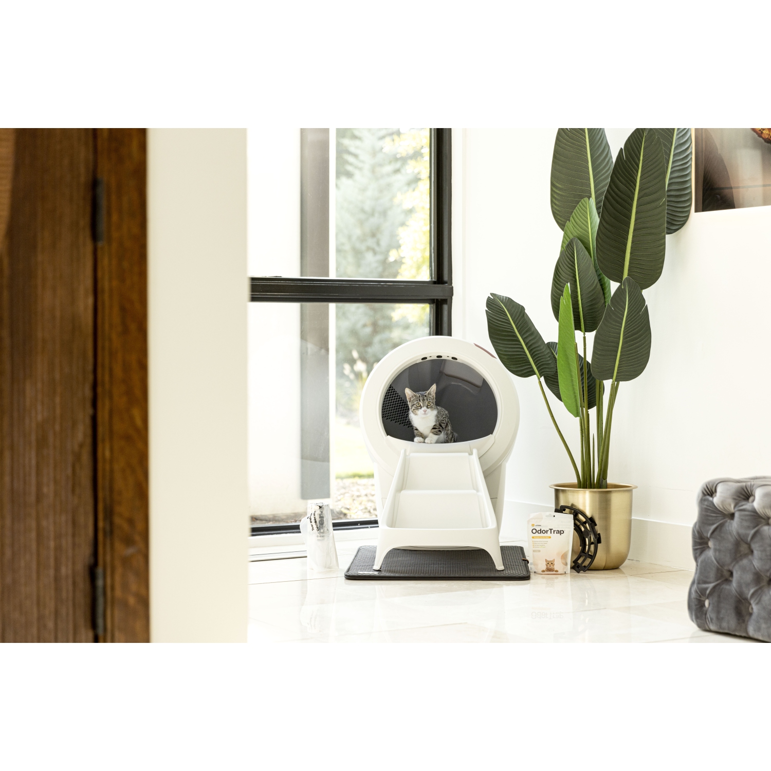 Litière Robot 4 Complete Bundle de Whisker, blanc - Boîte à litière autonettoyante automatique pour chats, comprend 1 an d'abonnement à WhiskerCare