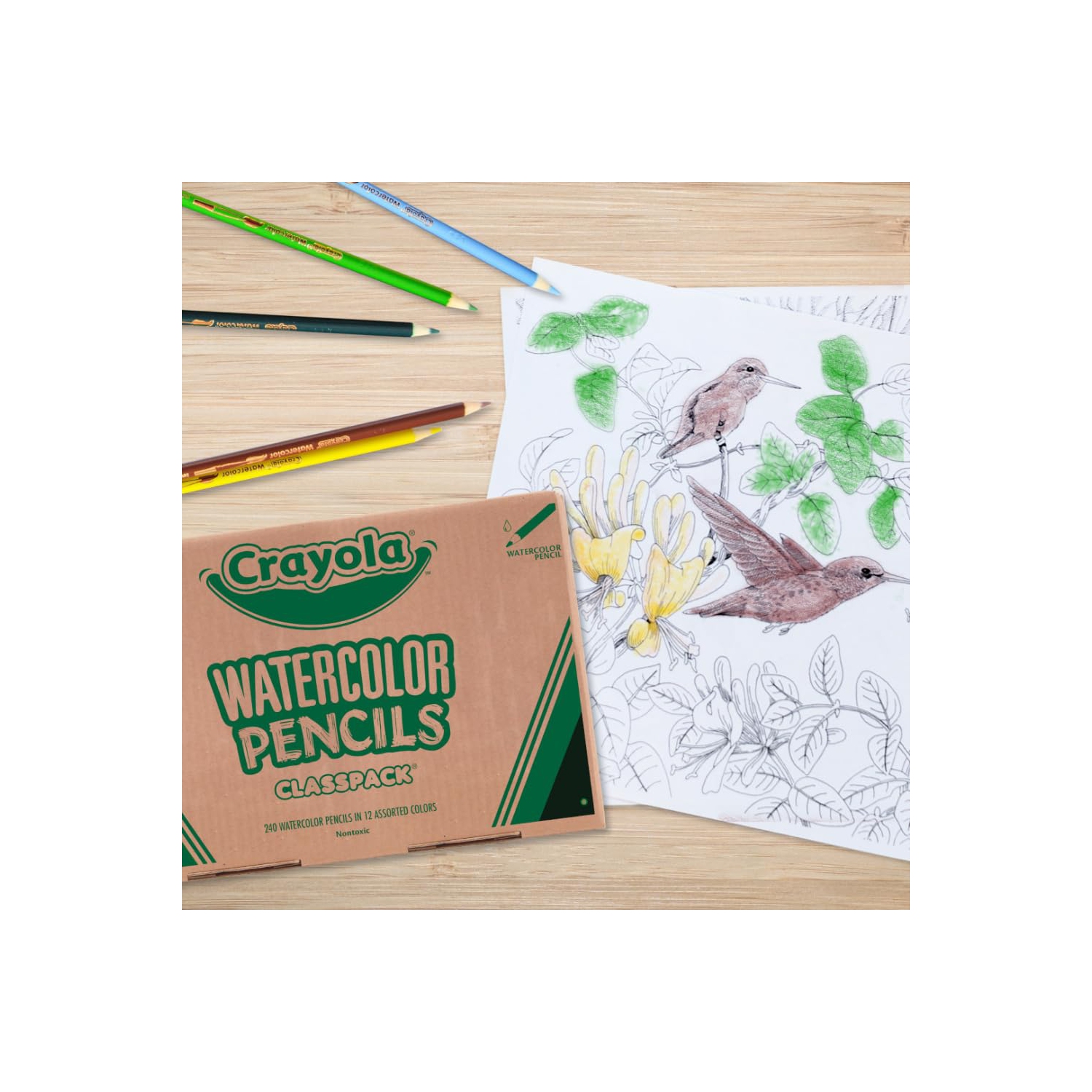 Crayola Watercolour Pencils Classpack, 240 Count