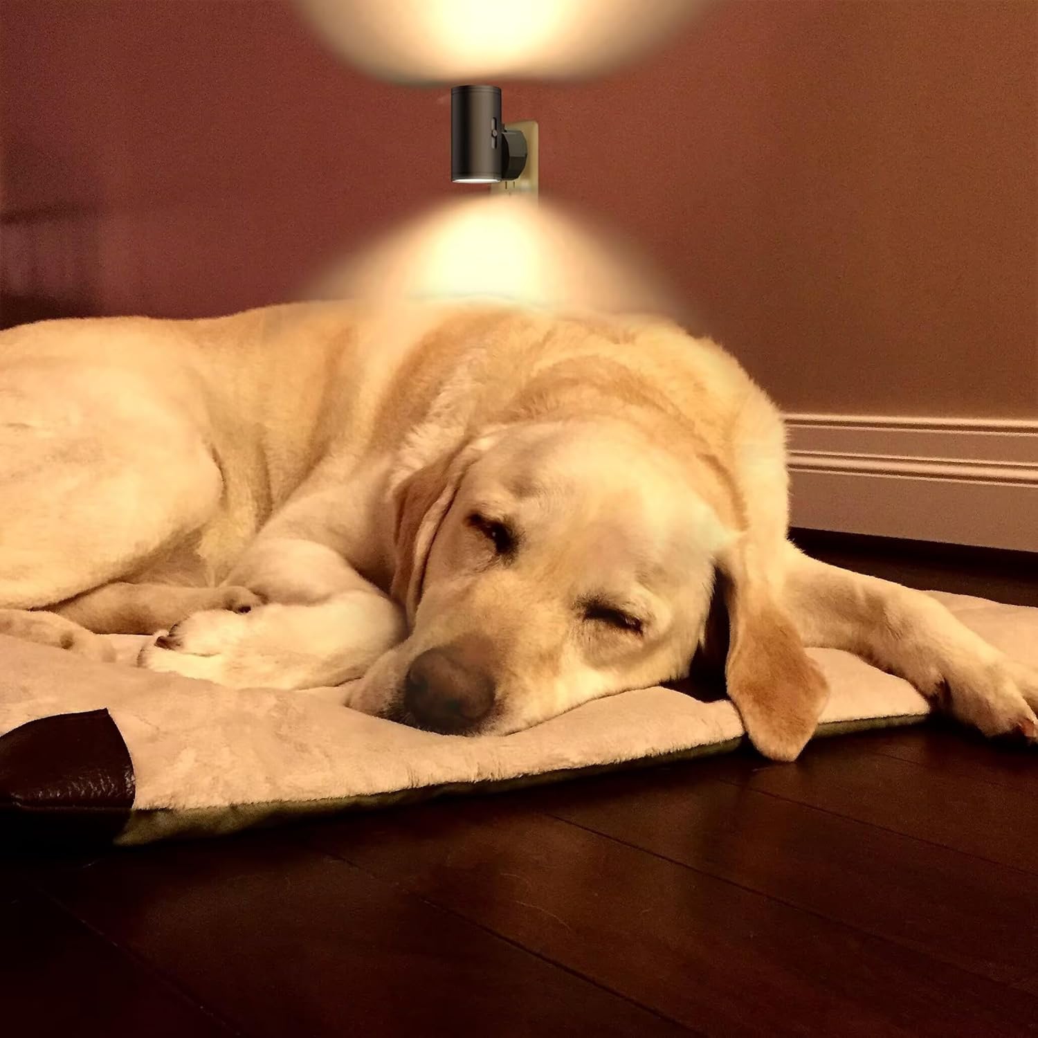 4 Pack LED Night Light, Plug Into Wall, Dusk to Dawn Sensor, Soft White 3000K,Uplight & Downlight, for Bedroom, Stairway, Hallway,Bathroom Dimmable