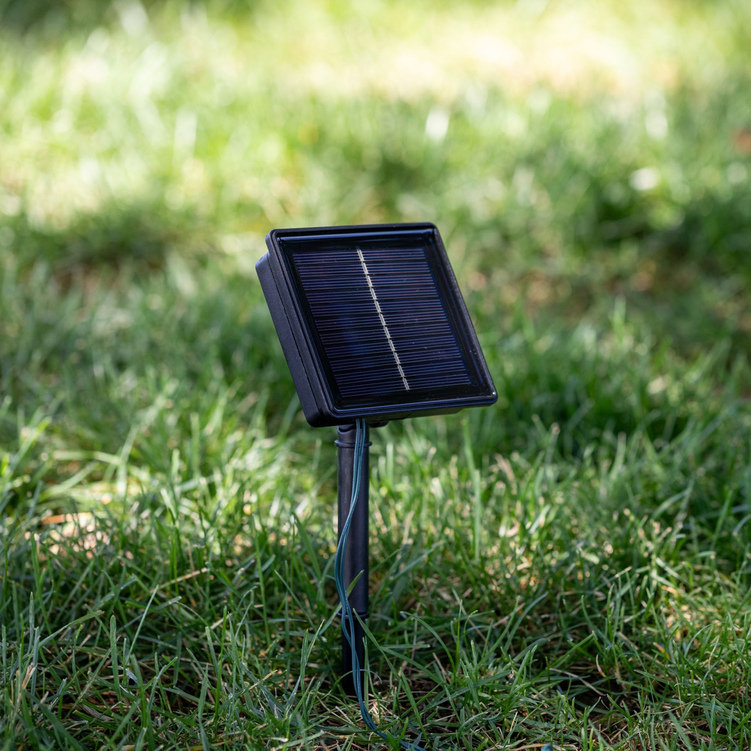 Novelty Lights 100 Light Solar Powered LED Outdoor Mini Light String, 50 Feet on White Wire, 5mm Bulbs, Automatic Dusk to Dawn Operation