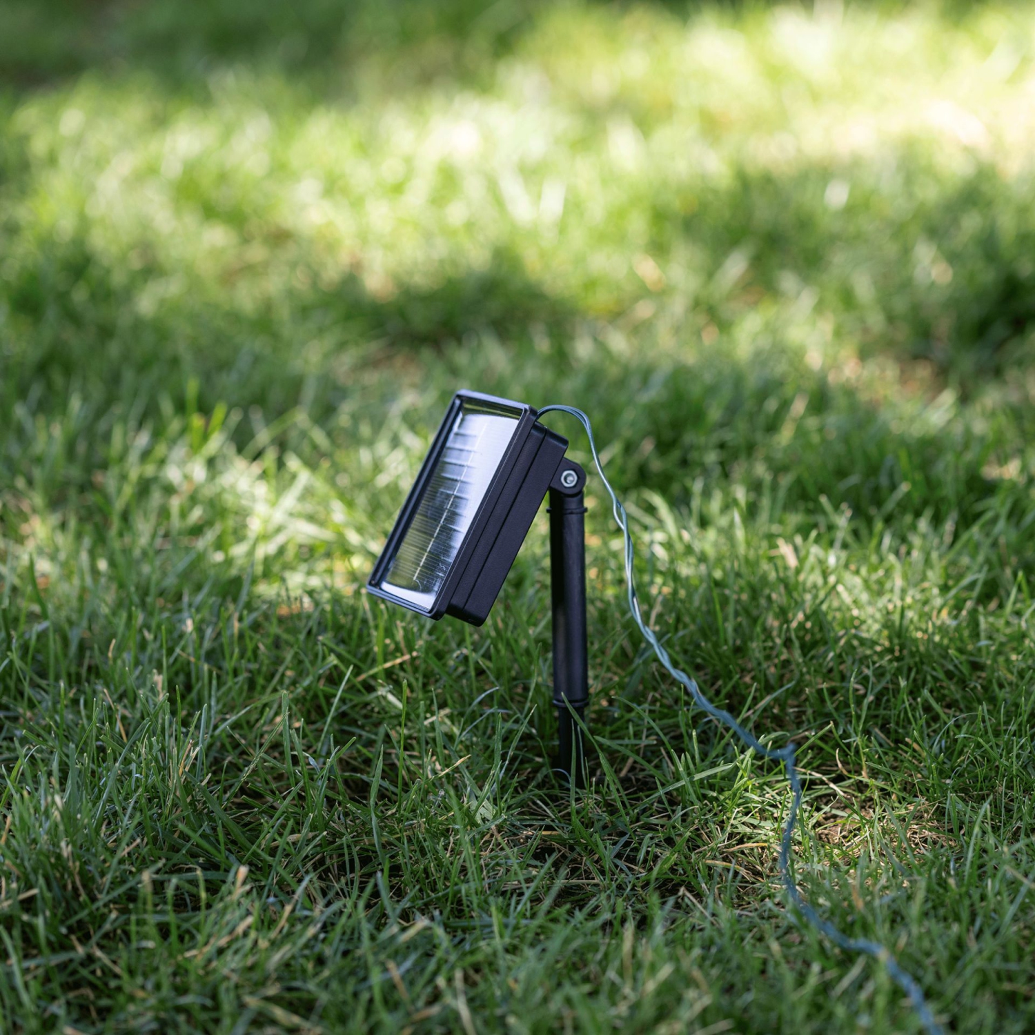 Novelty Lights 100 Light Solar Powered LED Outdoor Mini Light String, 50 Feet on White Wire, 5mm Bulbs, Automatic Dusk to Dawn Operation