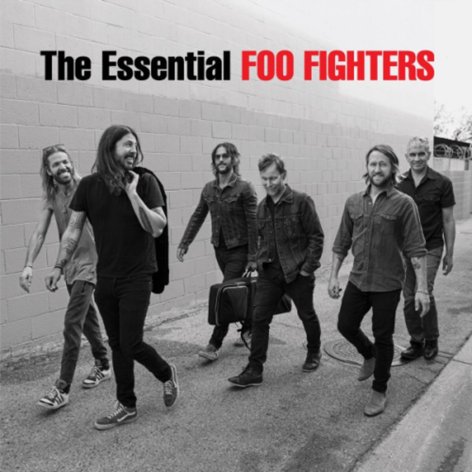 Foo Fighters - The Essential Foo Fighters - - [Vinyl]