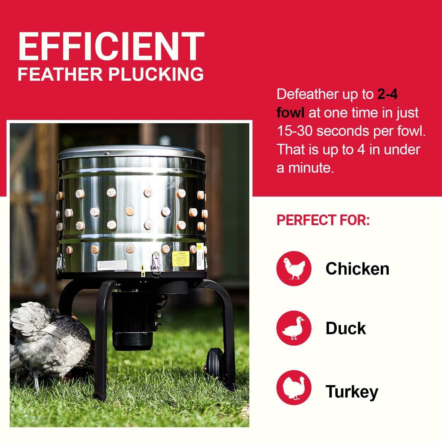 Kitchener Chicken Plucker De-Feather Remover Poultry and Fowl Food Processor Electric Stainless Steel Heavy Duty 1HP 120VAC 280RPM GFCI Connector 92