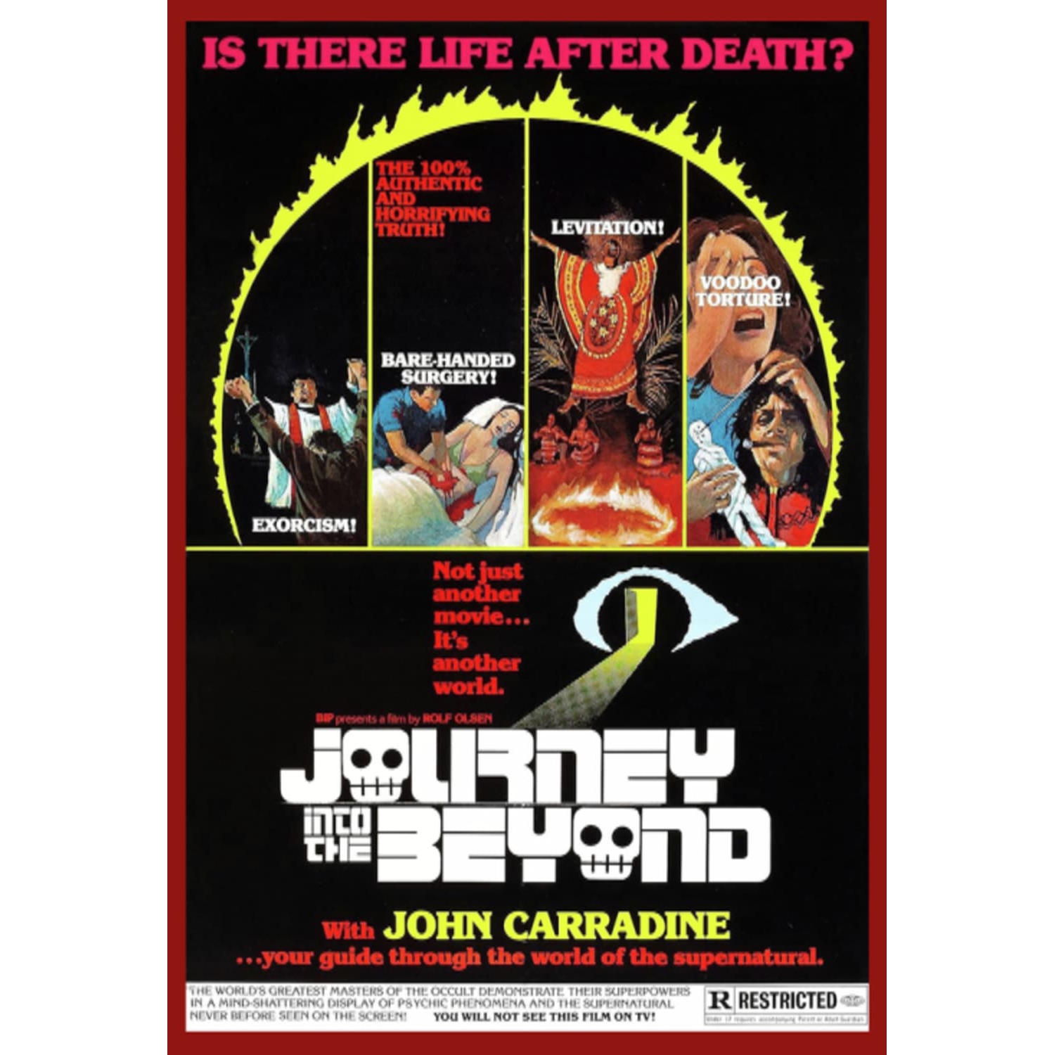 Journey Into The Beyond - - [DVD]