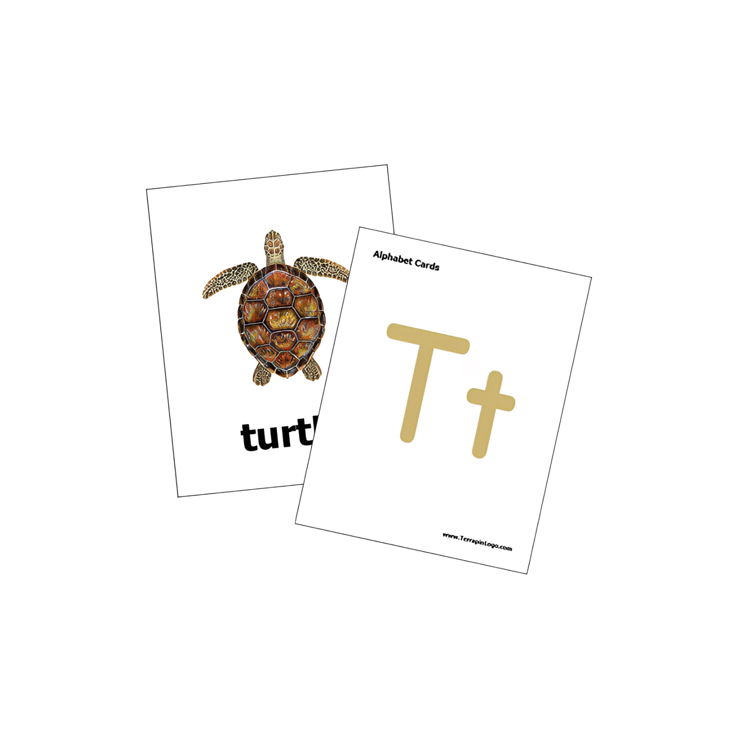 Ensemble de cartes de l'alphabet Terrapin pour les accessoires de classe Bee-Bot et Blue-Bot Coding Robots