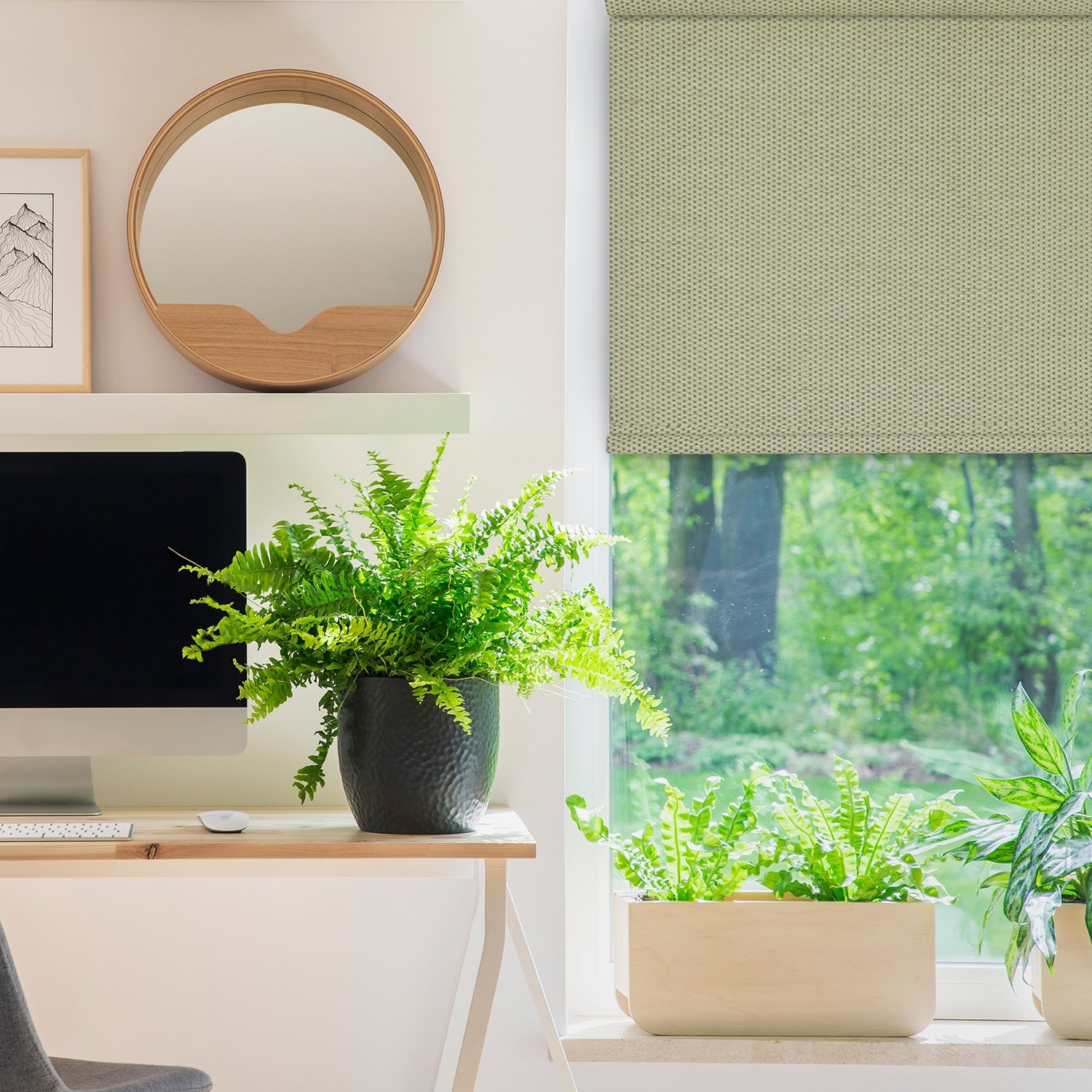 Versailles - Cordless Roller Shade, Marcellus Collection, Soft Close, 48" x 72", Green