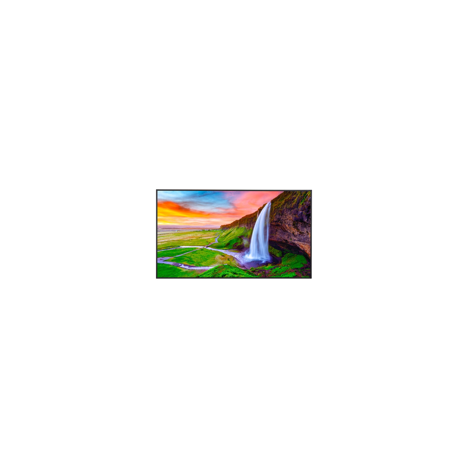 Sharp NEC 50" 4K UHD LED Commercial Display - Black