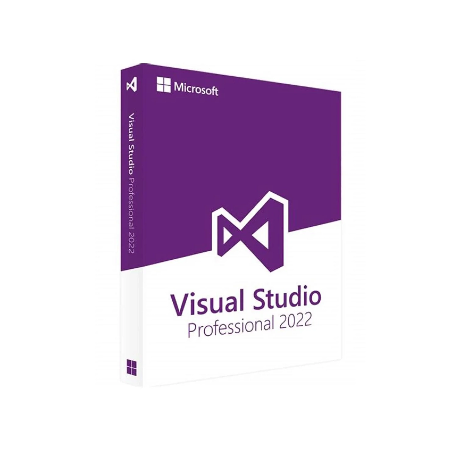 Microsoft Visual Studio 2022 Professional