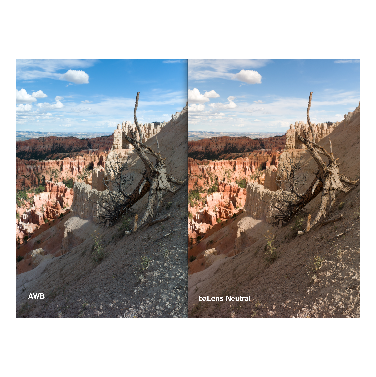 BRNO baLens White Balance Cap 52mm