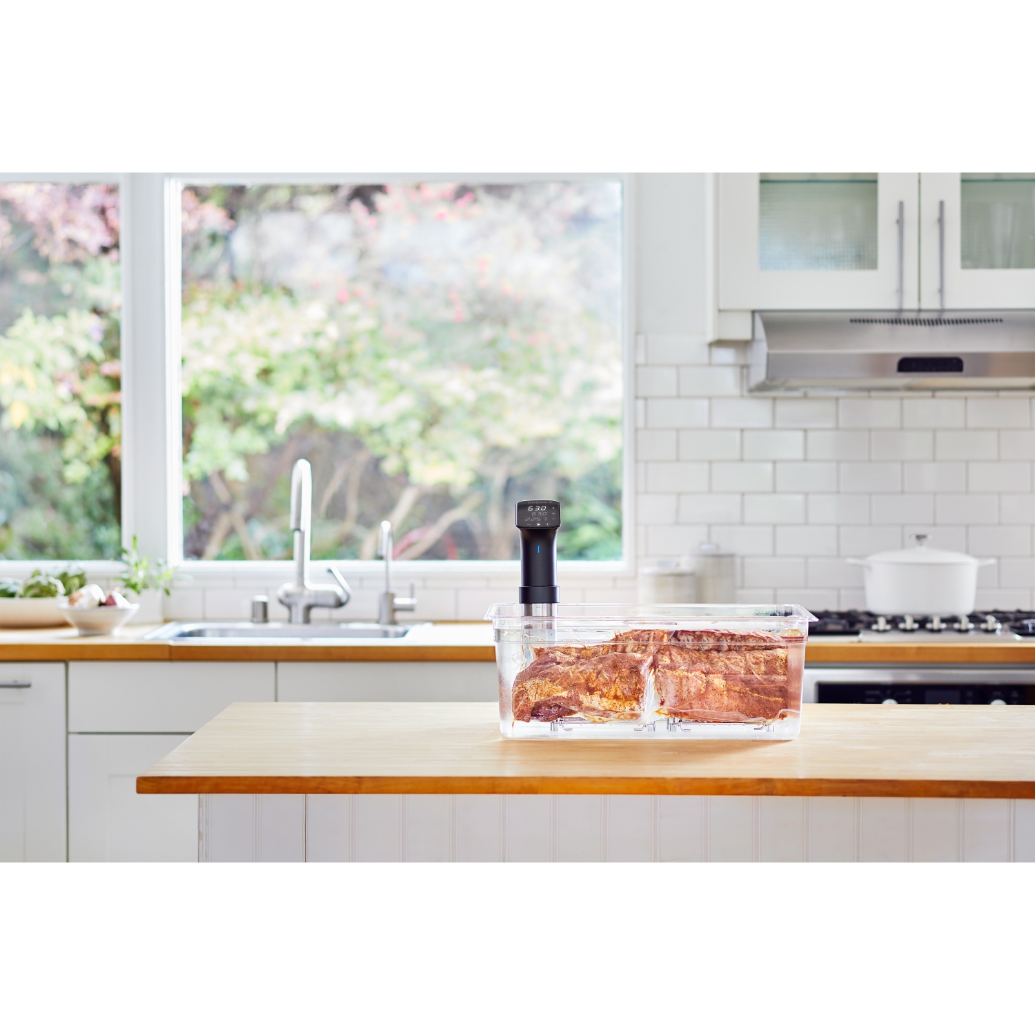 Cuiseur Pro d'Anova Precision MD