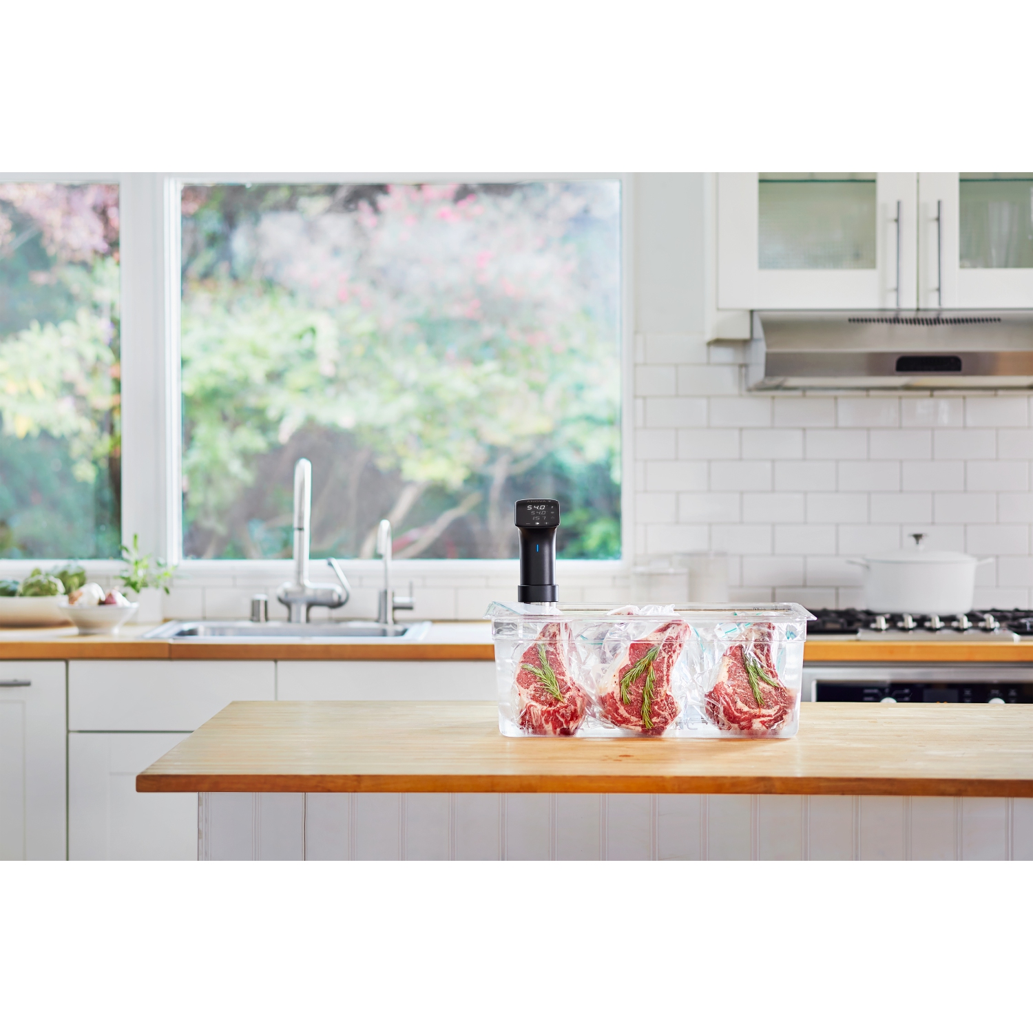 Cuiseur Pro d'Anova Precision MD