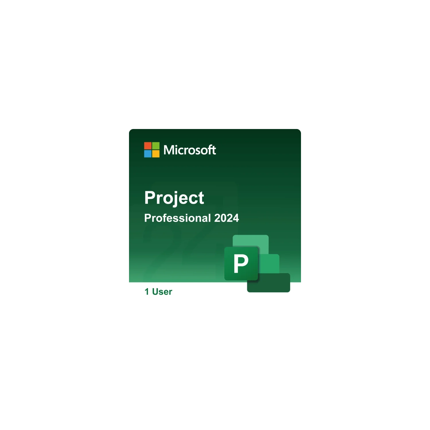 Project Professional 2024 de Microsoft