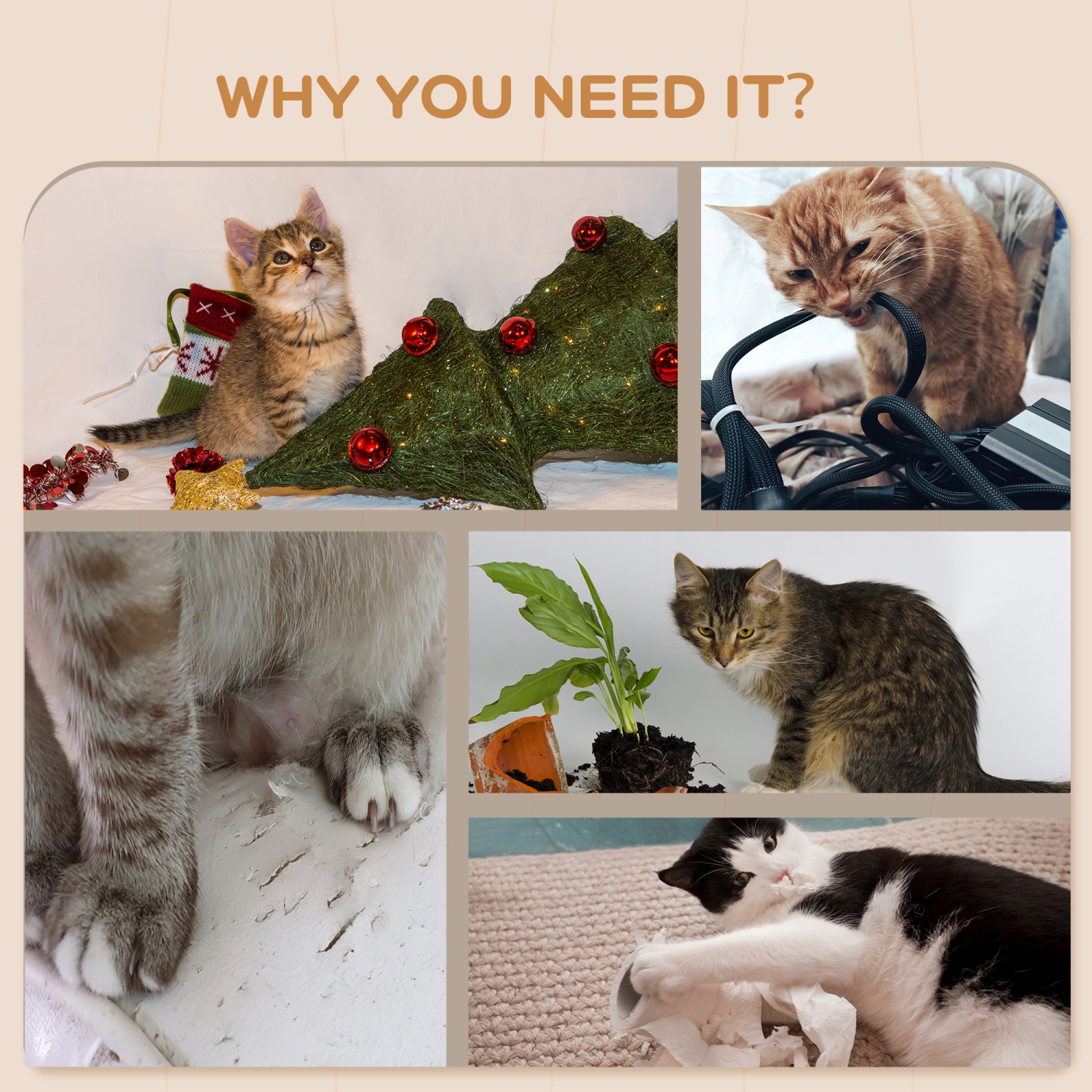 PawHut Cat Wall Shelves, 4PCs Cat Shelves with Scratching Post, Jumping Platforms, Ladder, Condo, Ceiling Wall Mounted Cat Climber, Light Grey