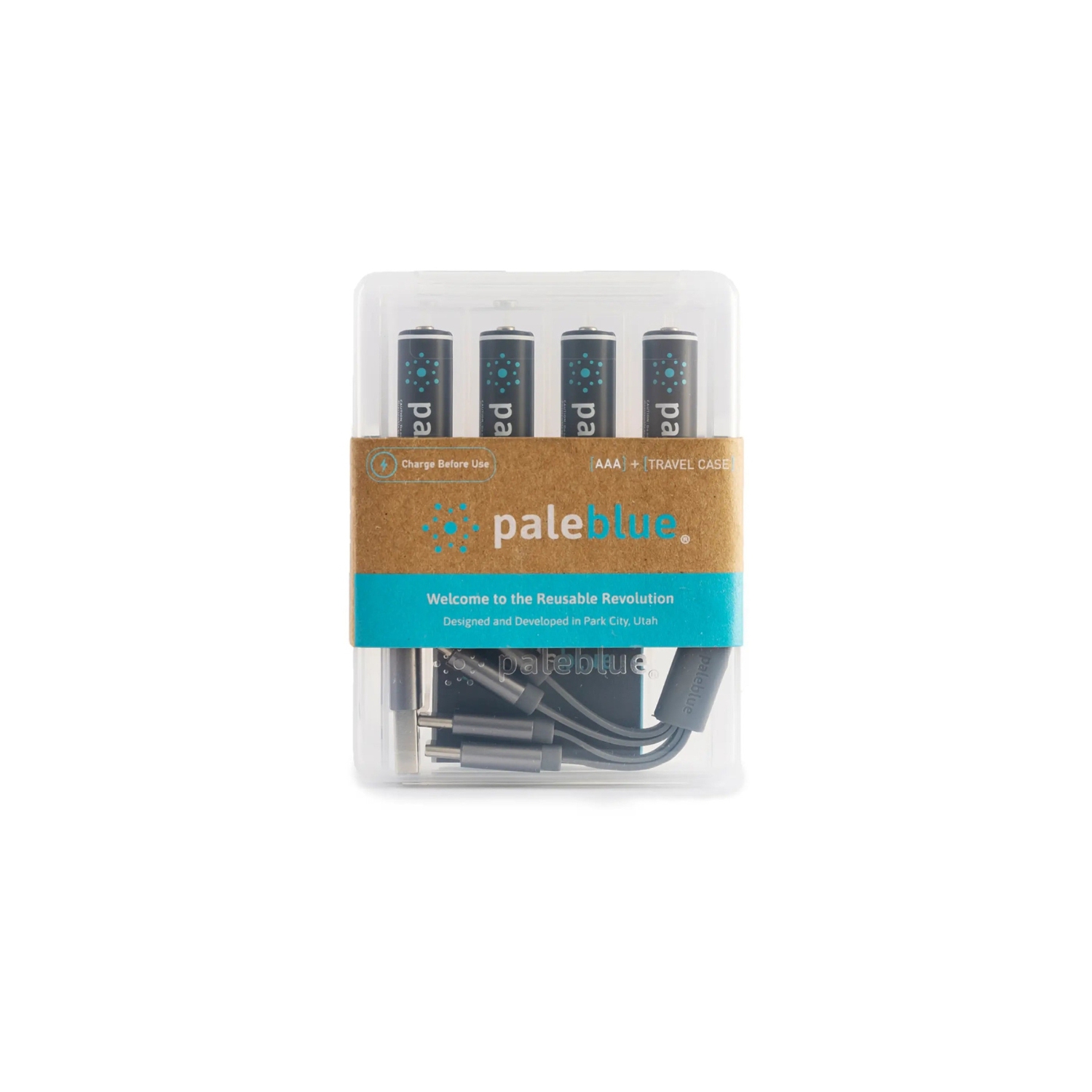 USB Rechargeable AAA Batteries by Pale Blue, Lithium Ion 1.5V 600mAh, Fast Charging in 60 Minutes, 8-Pack with LED Charge Indicator