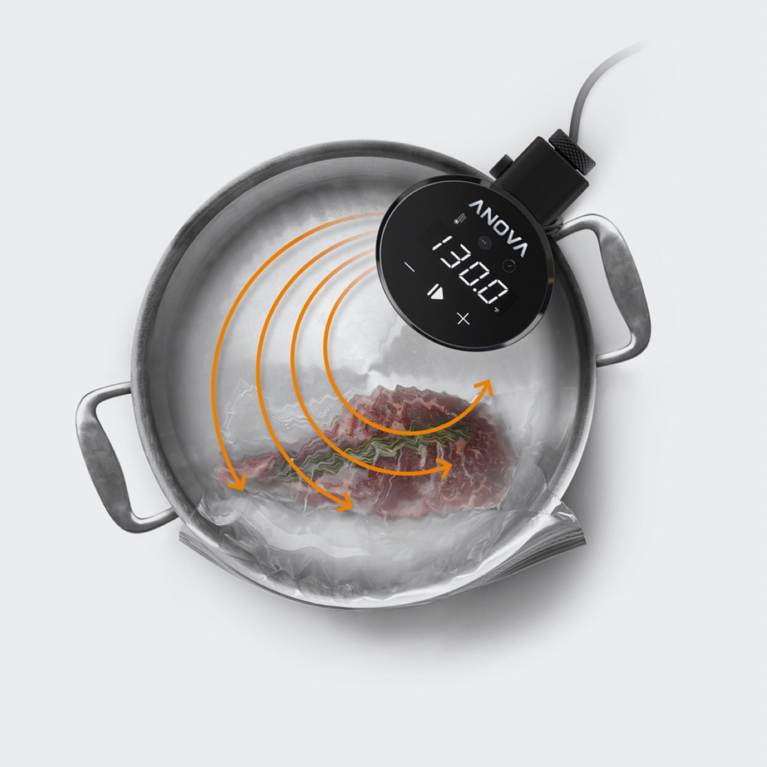 Anova Precision Cooker 2.0