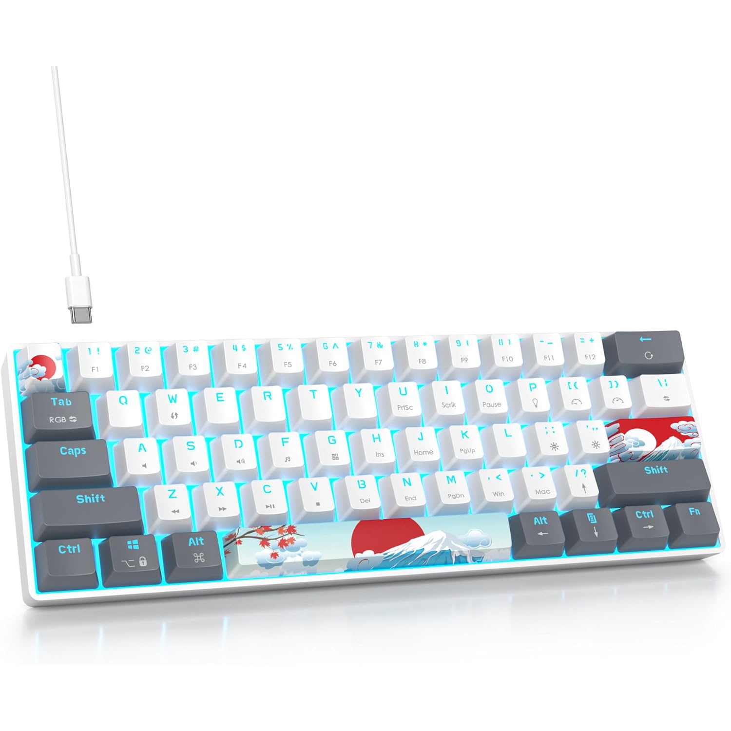 60% Percent Mechanical Keyboard RGB Gaming Keyboard 60 Percent, Ultra-Compact 61Keys Mini Wired Keyboard with Red Switch for Win/Mac PC Gamer(WhiteGrey, Red Switch)