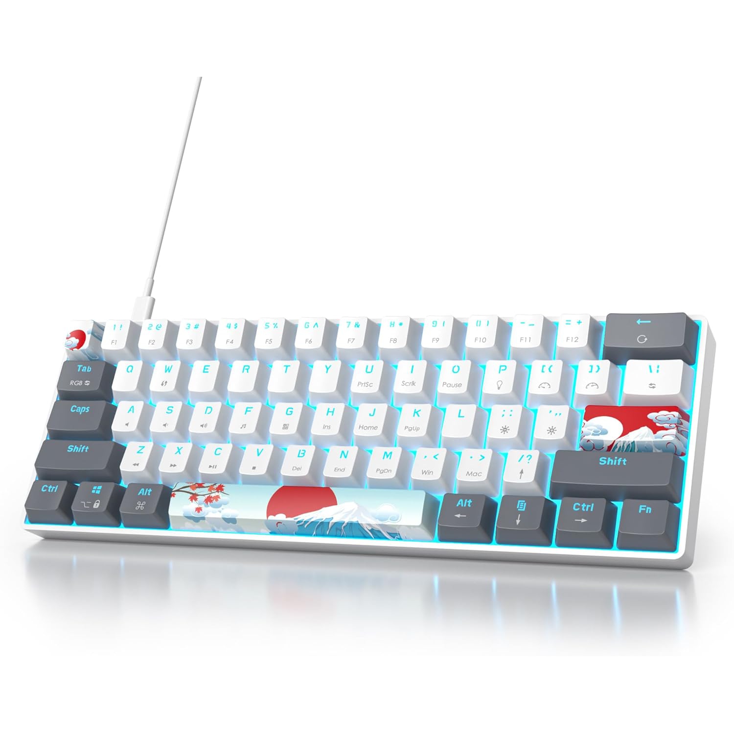 RGB Mechanical Keyboard 60 Percent Red Switches, Ultra-Compact Mini Wired Gaming Keybaord with Backlit PBT Dye-Sub Keycaps for Win/Mac/PC (White/Red Switch)