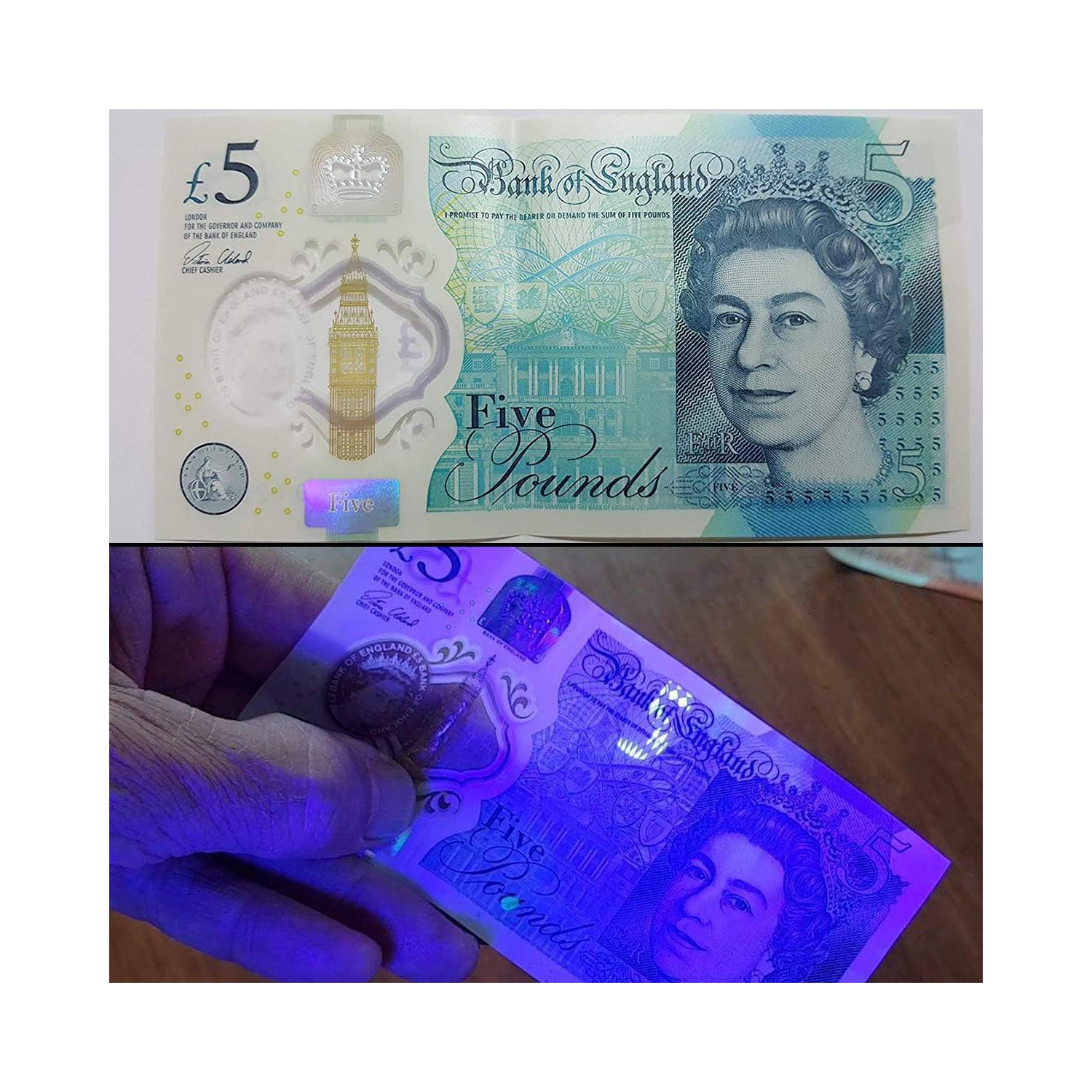 LE Small – Lampe de poche UV, lumière noire portative avec 9 DEL, 395&nbsp;nm, détecteur de lumière ultraviolette pour stylos à encre invisible,