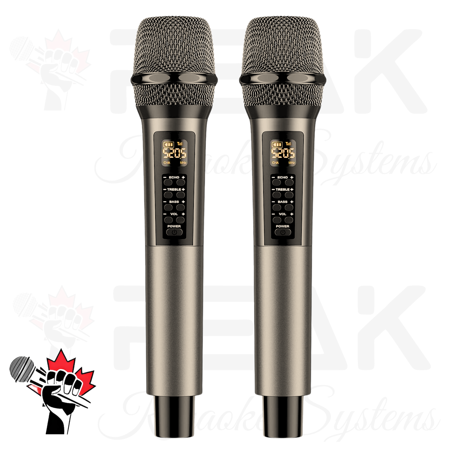 Peak Karaoke GOLD PRESTIGE PRO STAGE I System - 600W