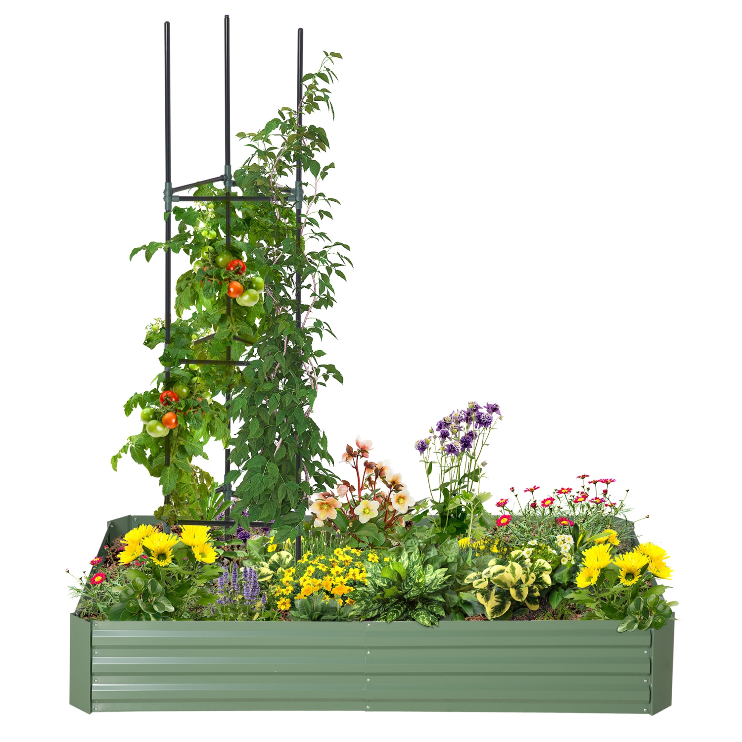 Outsunny Raised Garden Bed, 6' x 3' x 1' Large Metal Planter Box with 2 Trellis Tomato Cages for Climbing Vines, Vegetables, Flowers, Light Green