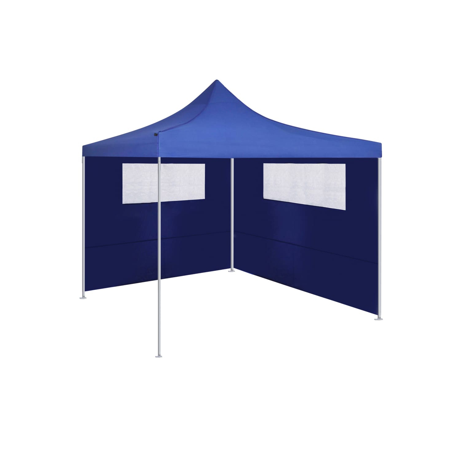 Parois vidaXL pour abri de jardin avec Windows, bleu, 2 pces