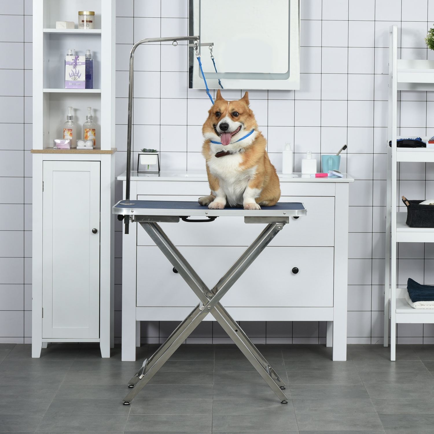 foldable dog grooming table